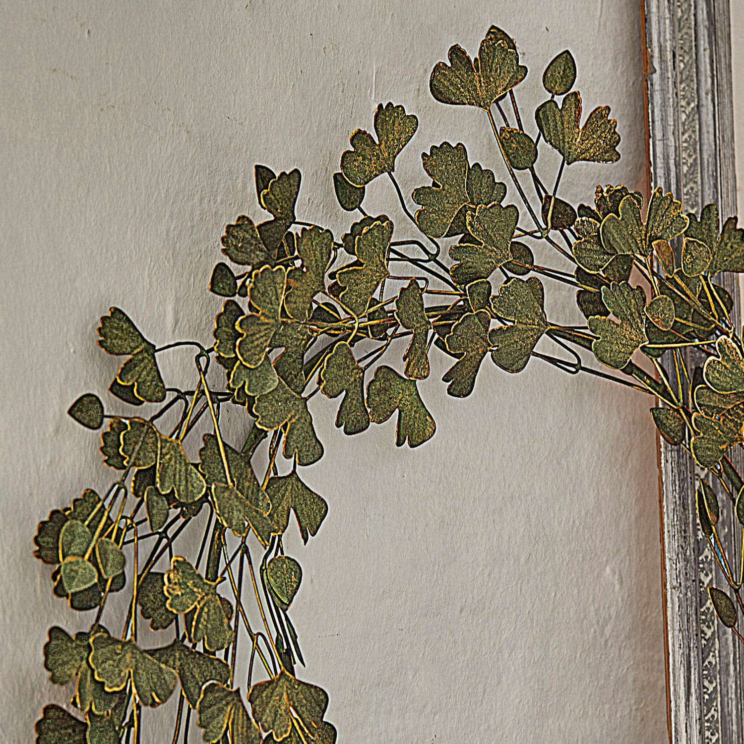 Ghirlanda Syrdarja