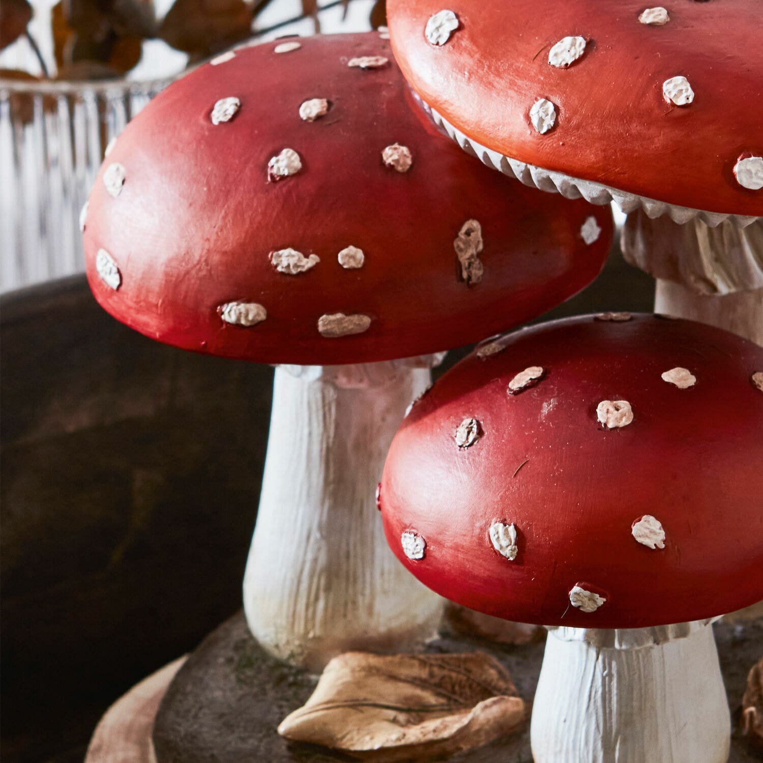 Funghi decorativi Lupton