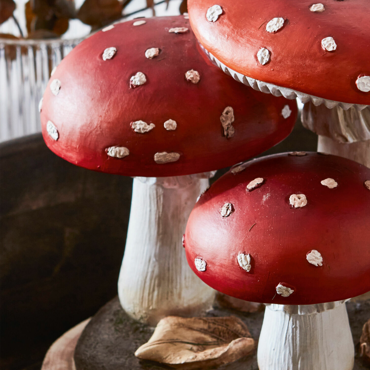 Funghi decorativi Lupton