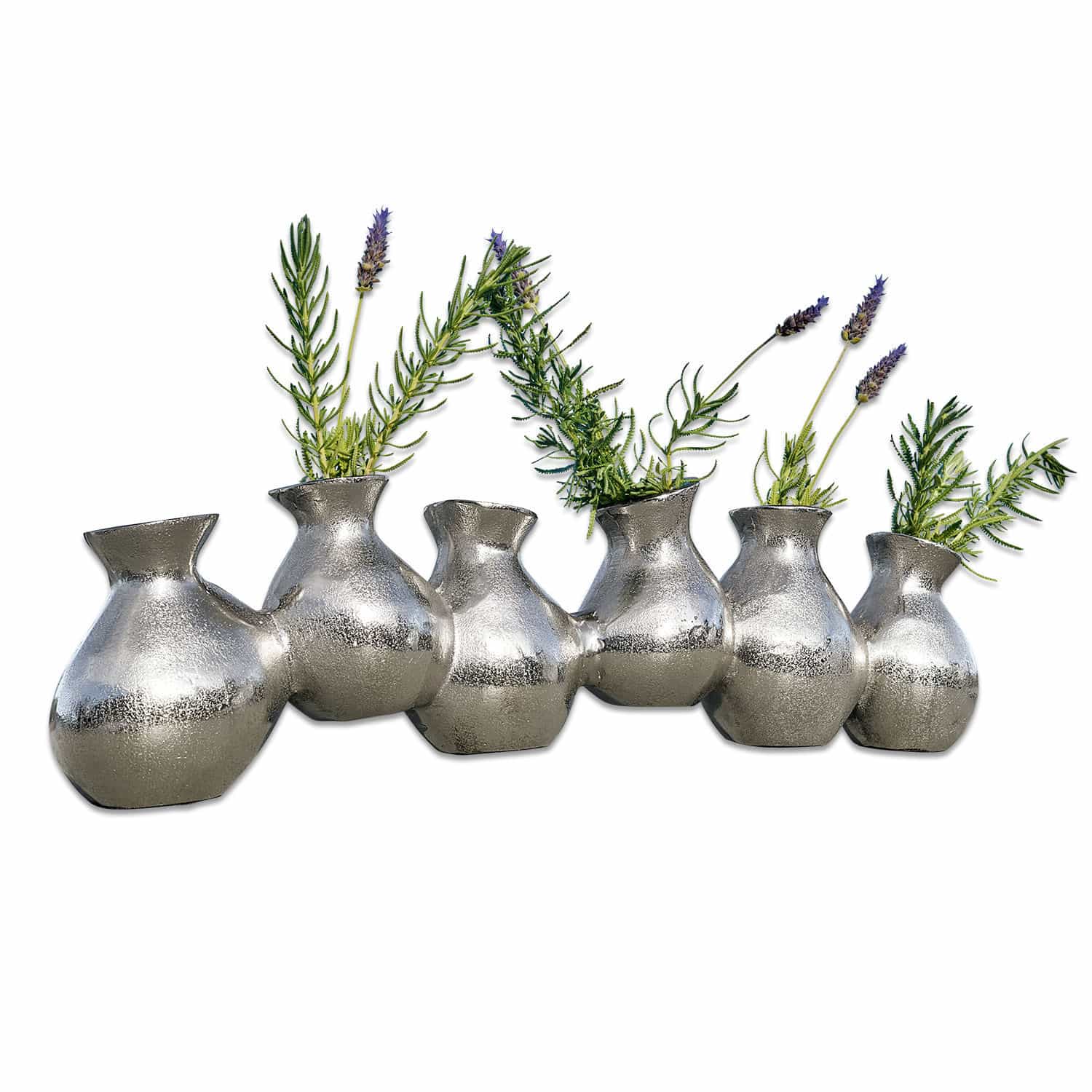 Vaso Phillis
