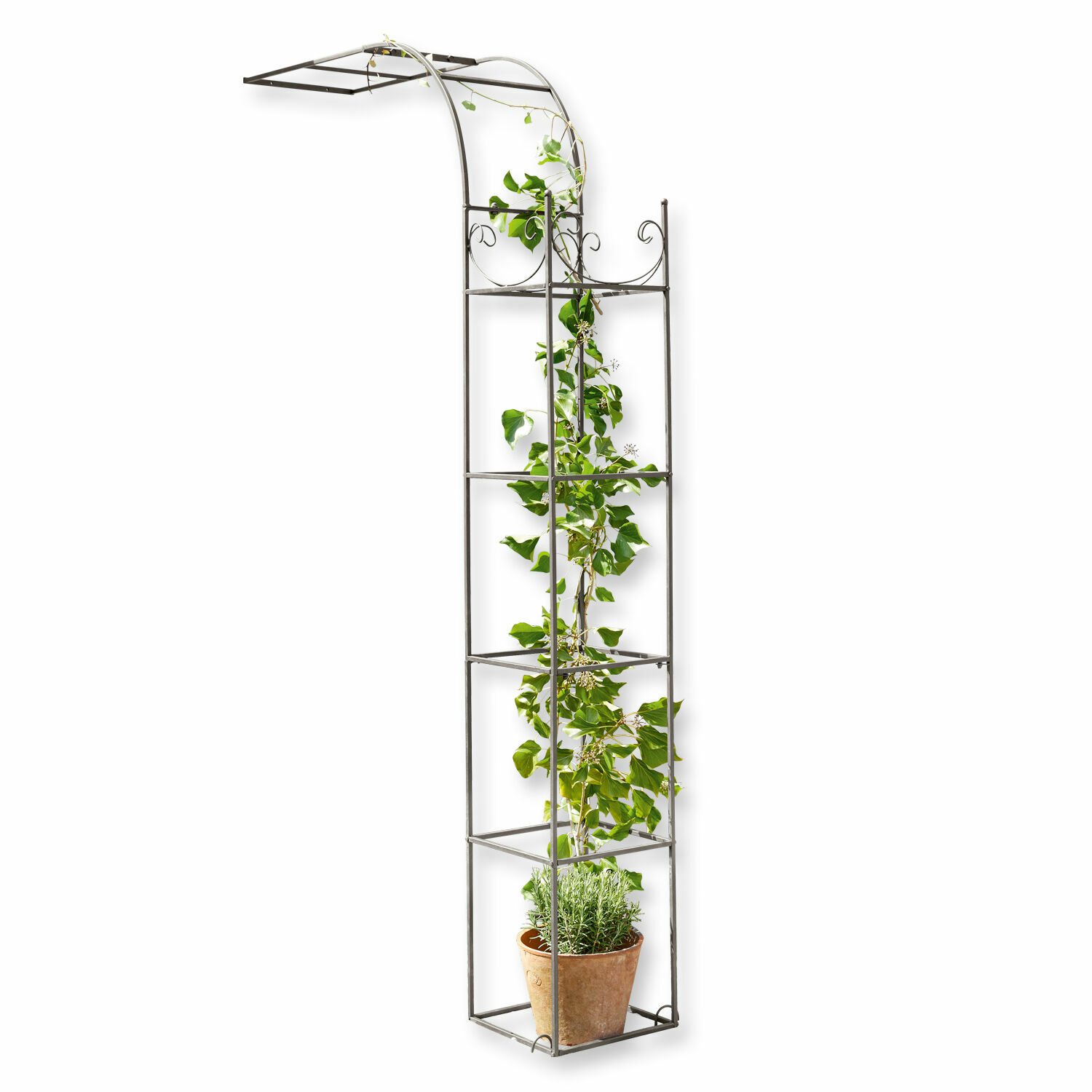 Arco per rose Fiore