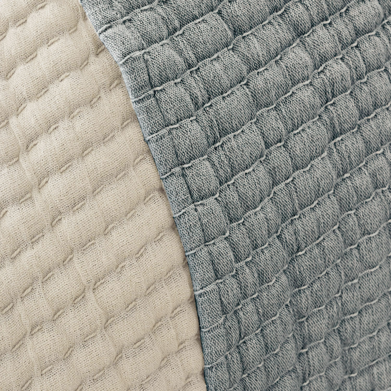 Coperta Bonmeia
