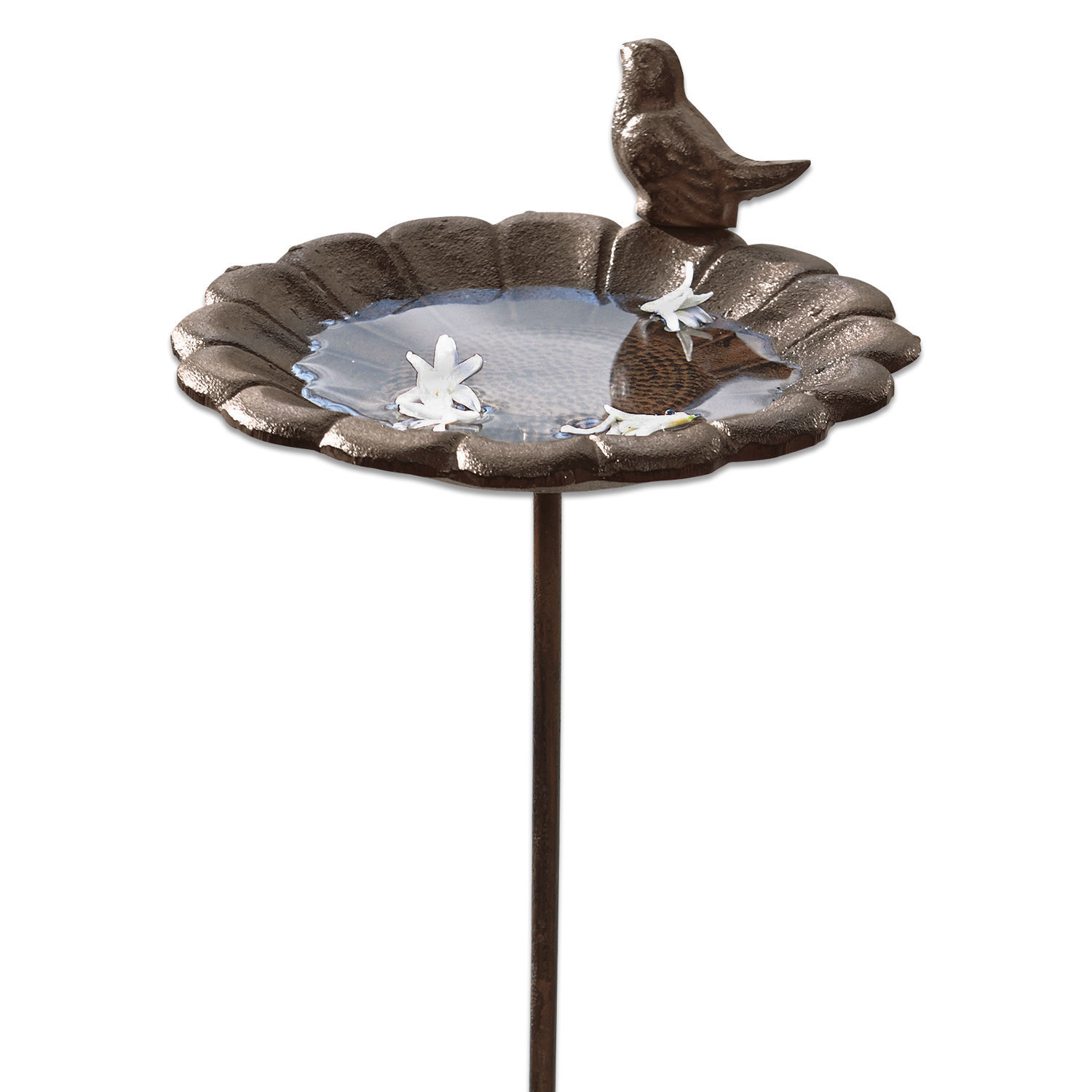 Abbeveratoio per uccellini Finch Abbeveratoio decorativo in metallo marrone con motivo uccello e ciotola per acqua da giardino