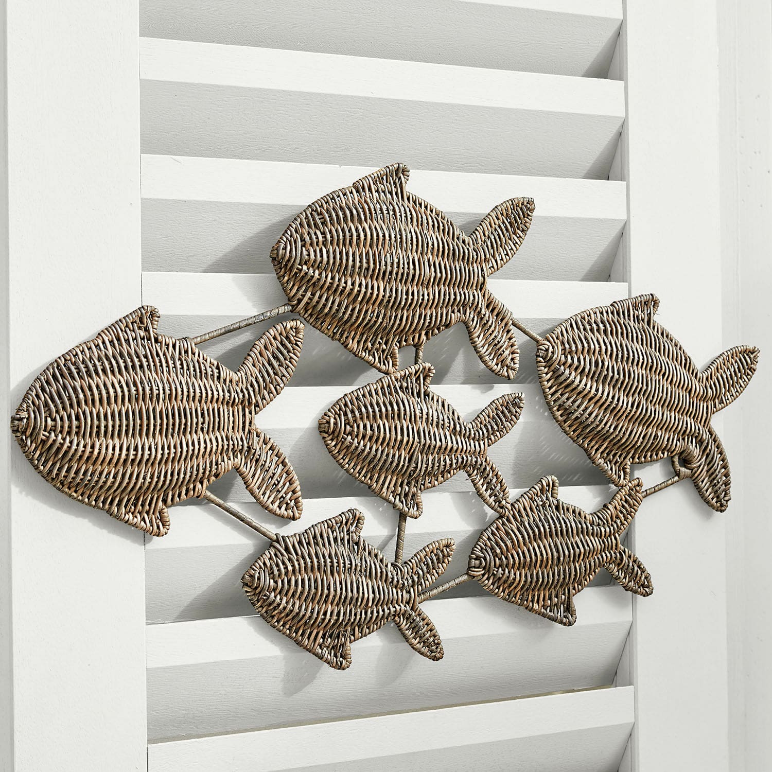Pesci decorativi Vendée