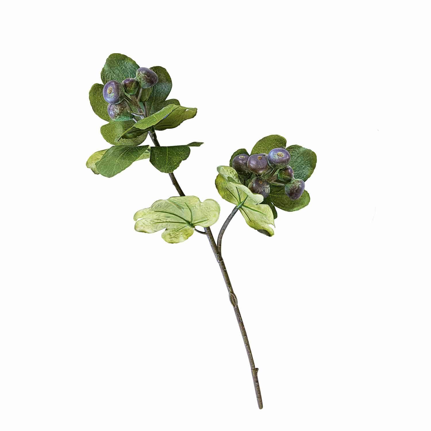 Coppia di rami decorativi Allonnes