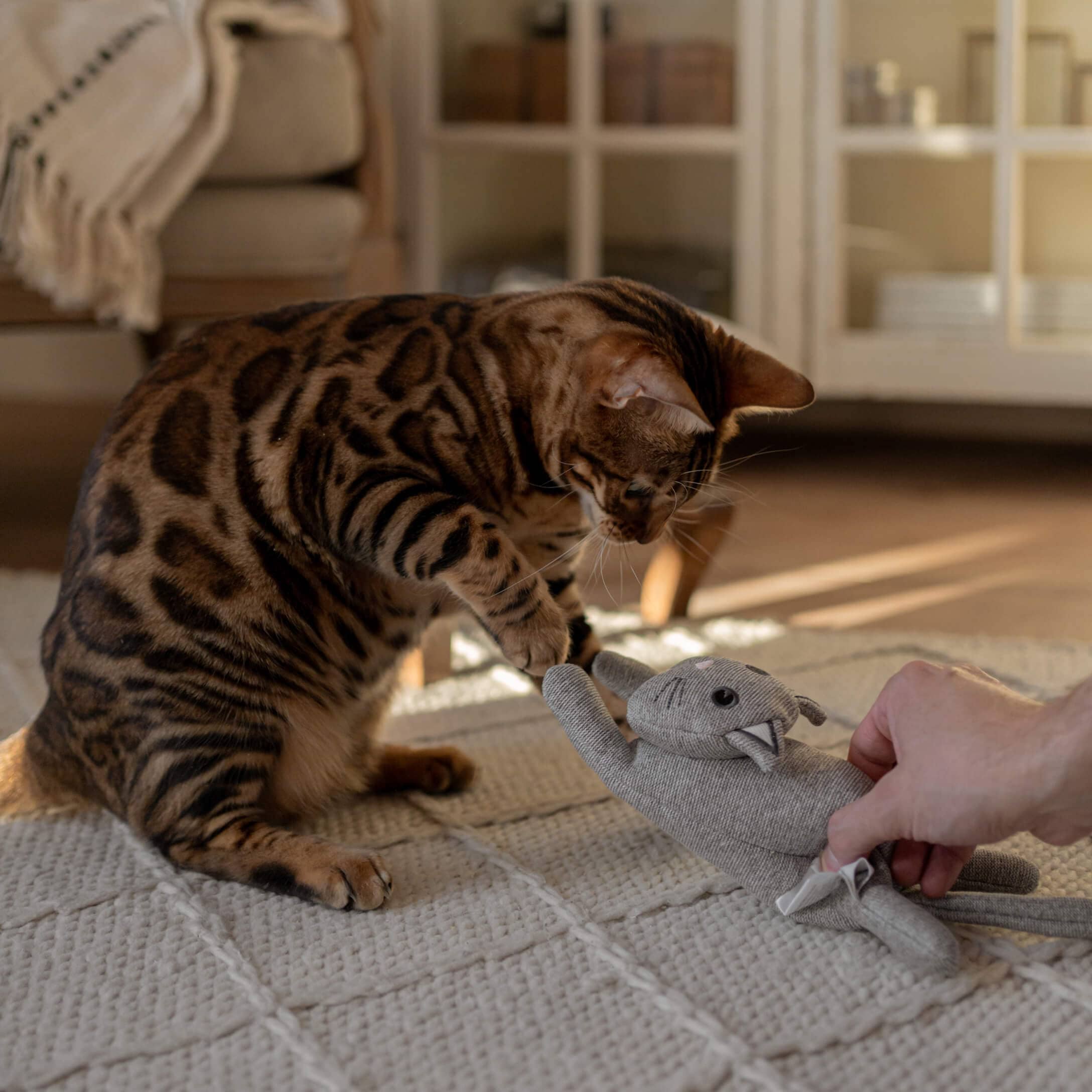Gatto bengala marrone che gioca con un peluche grigio su un tappeto chiaro in un soggiorno luminoso