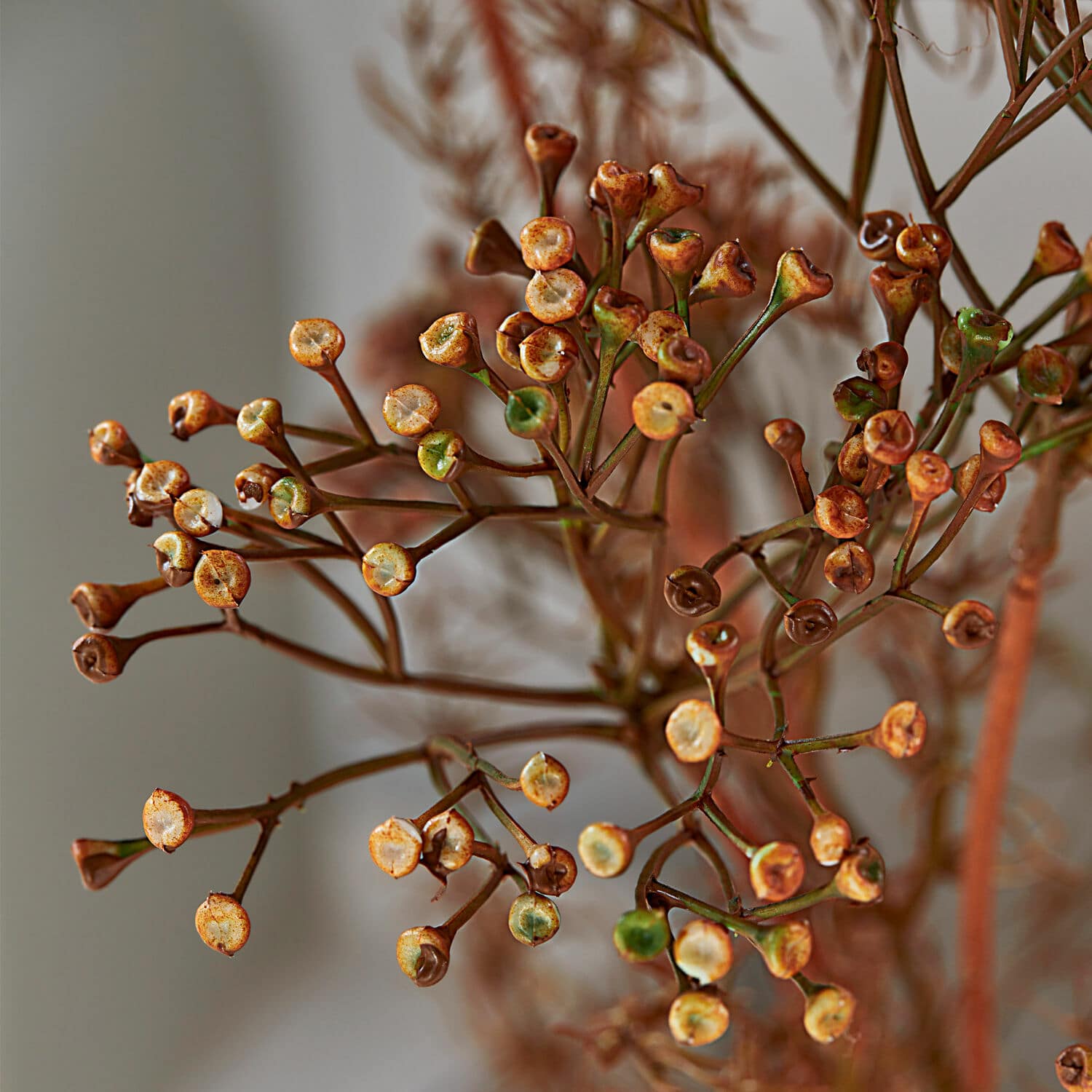 Set di 4 fiori decorativi Jennings