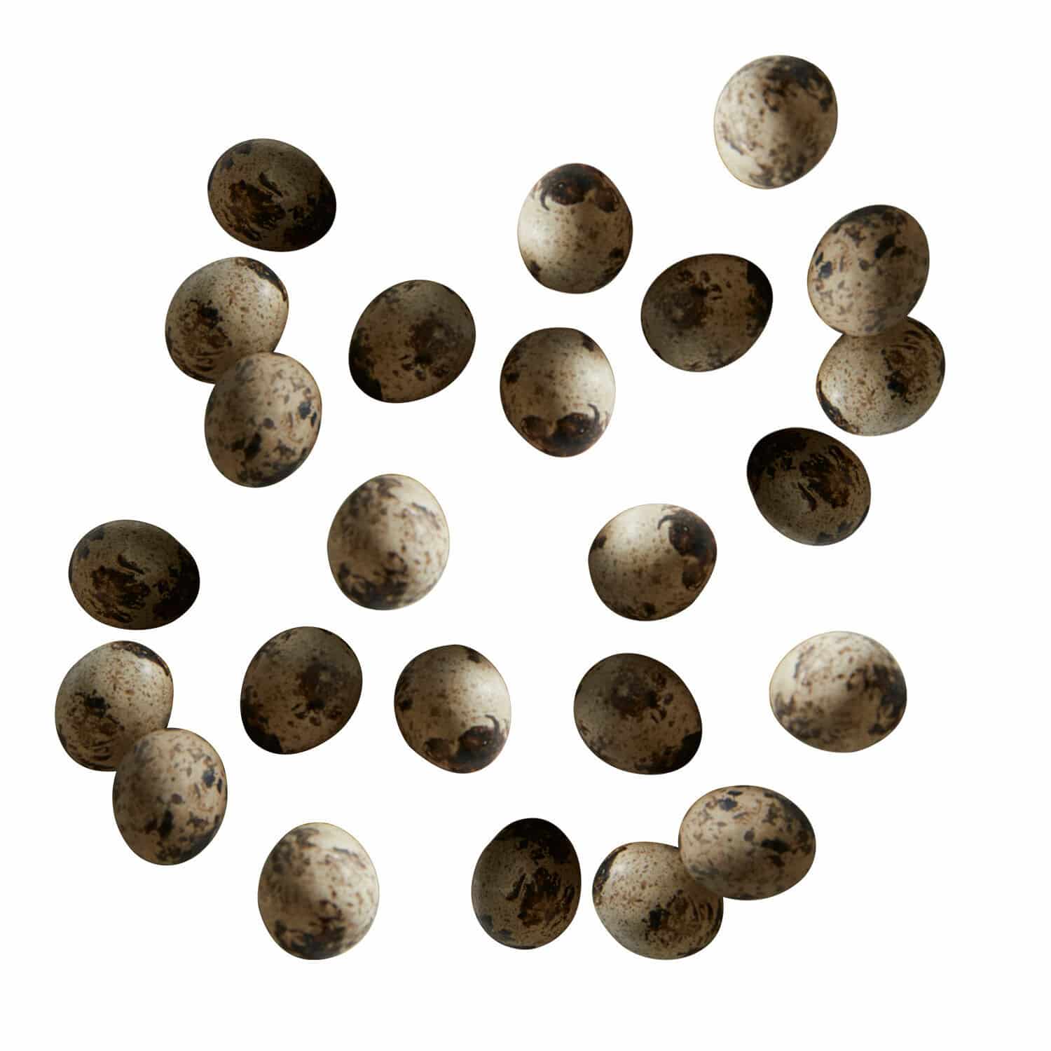 Set di 24 uova di quaglia Dilla