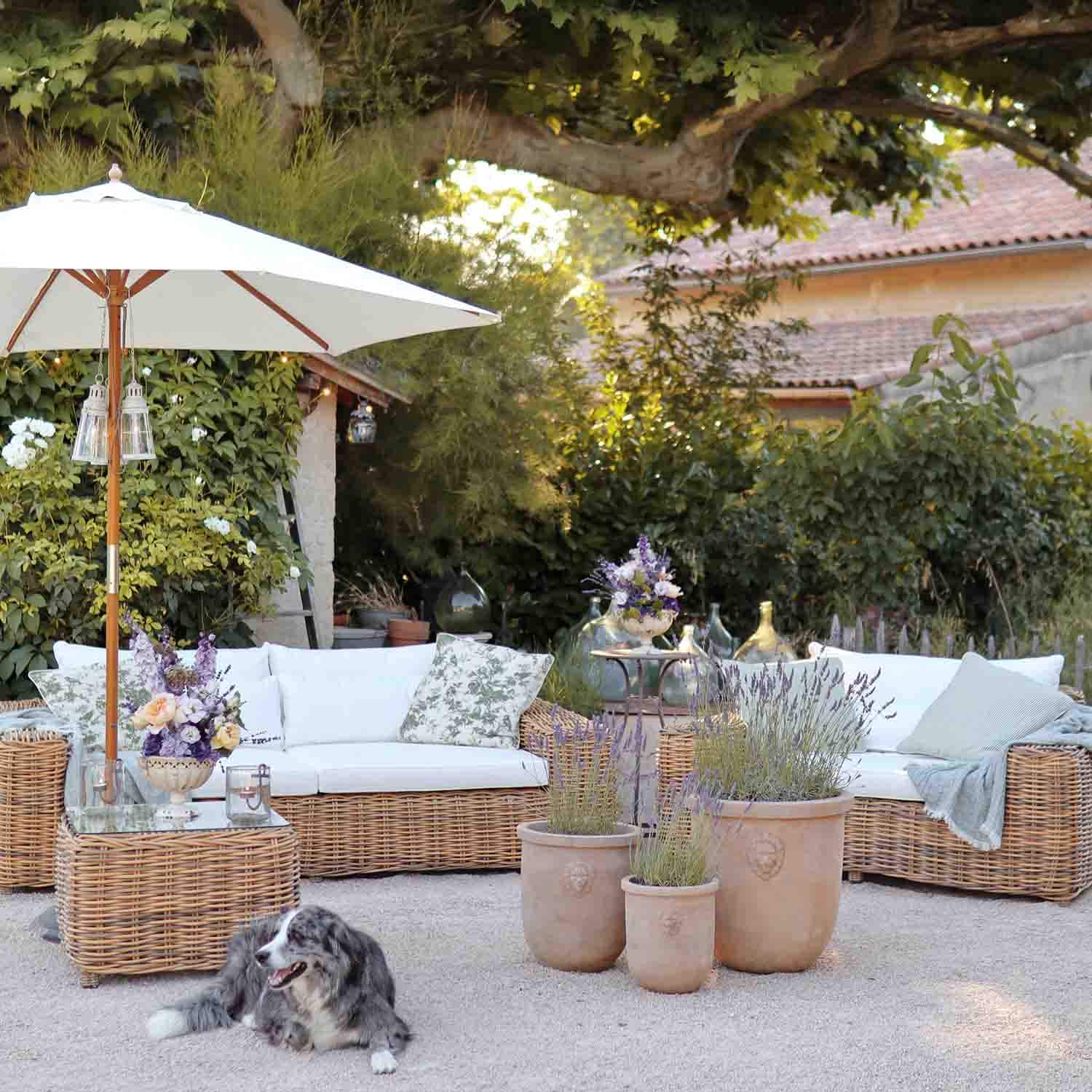 Set di mobili da giardino in rattan con cuscini bianchi e vasi di lavanda su terrazza con cane