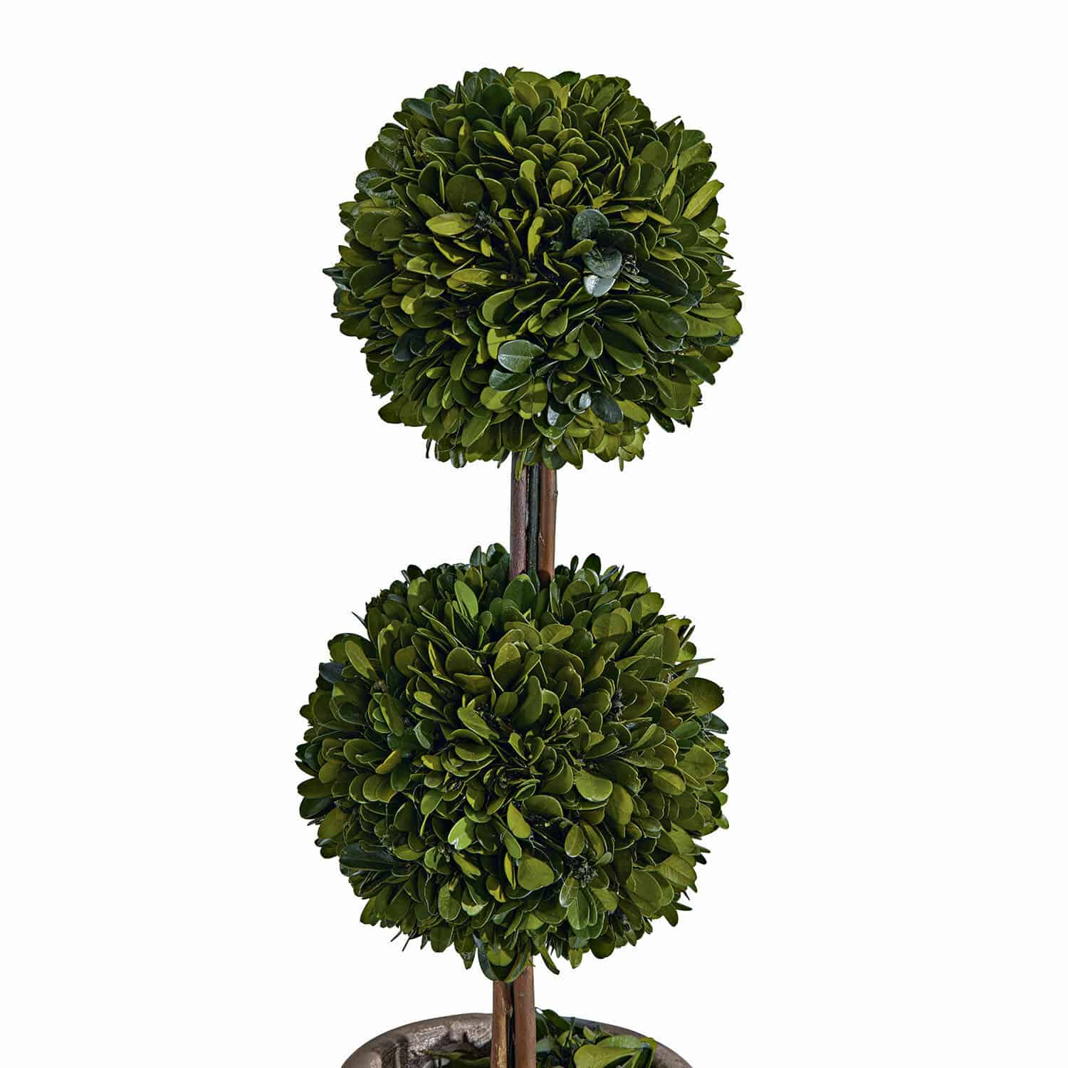 Alberello decorativo Noisse