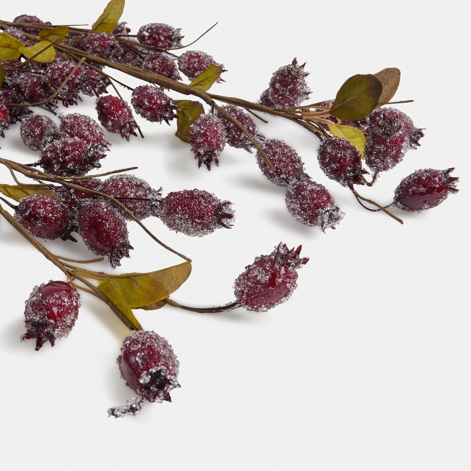 Set di 3 rami decorativi con cinorrodi Buttonbush