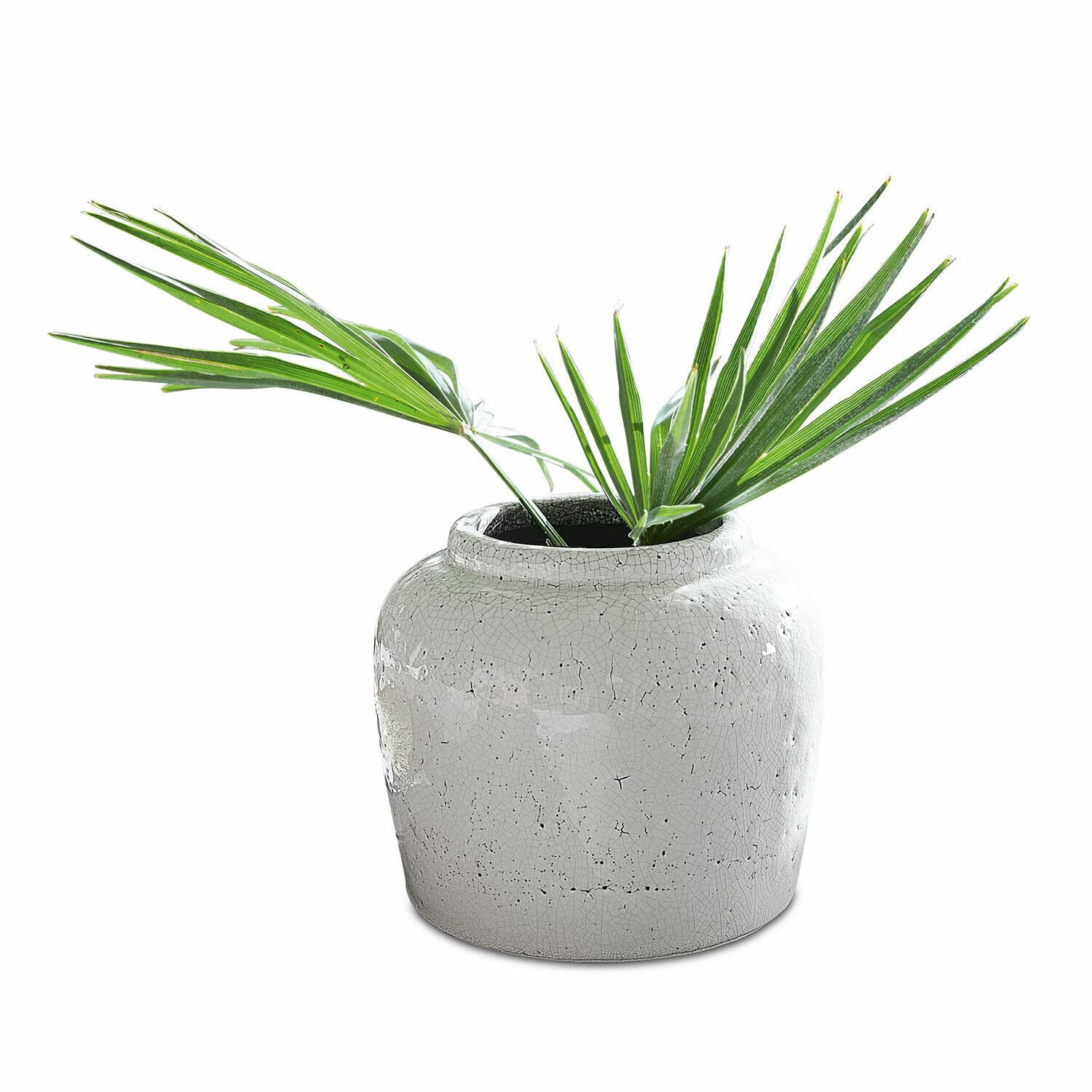 Vaso Montauban