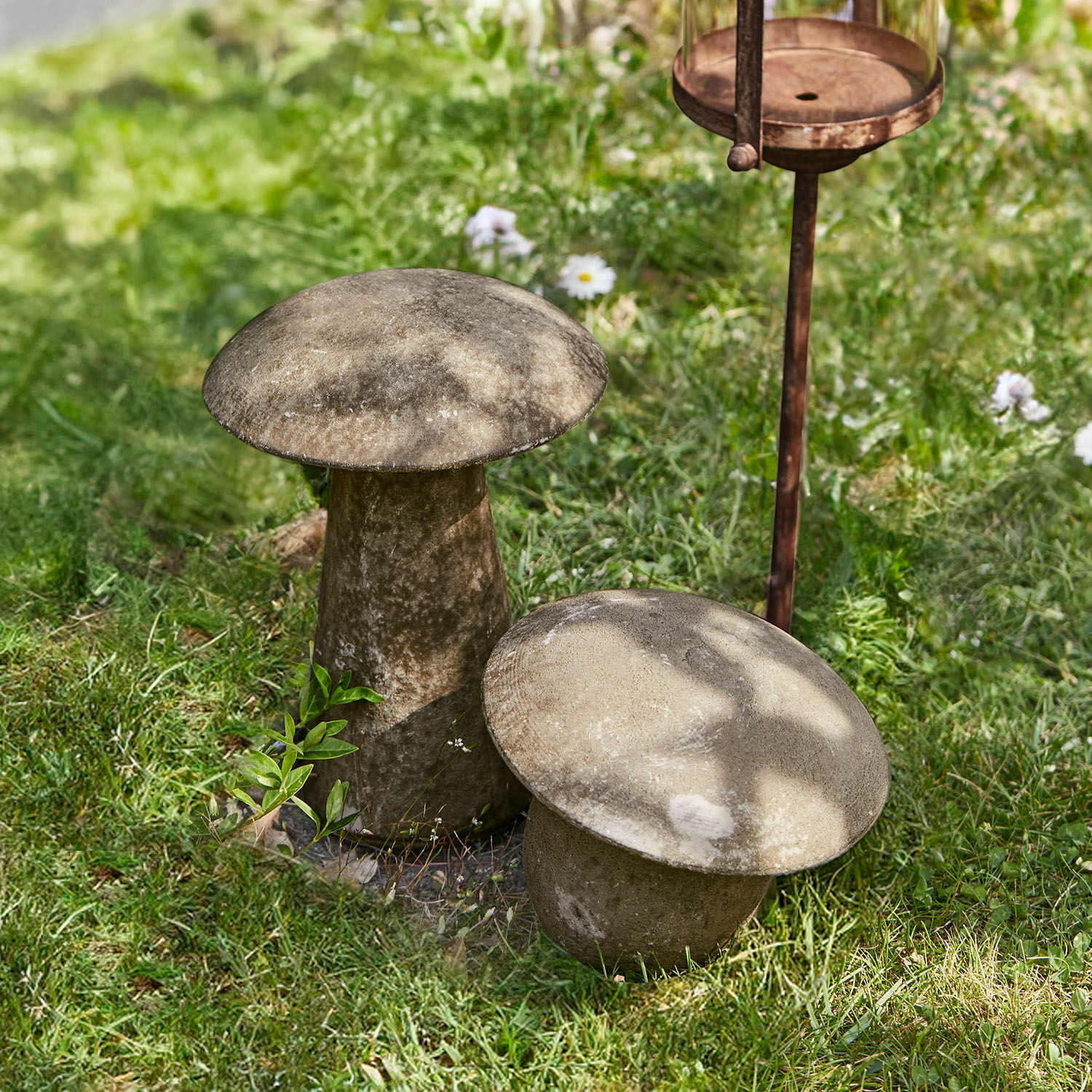 Coppia di funghi decorativi Coudrelle
