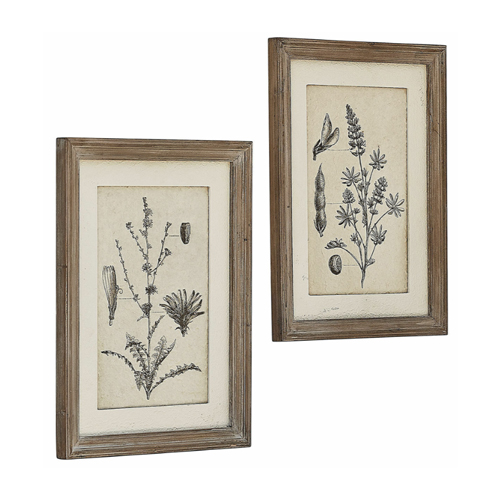 Due stampe botaniche rustiche in cornici di legno naturale per decorazione da parete