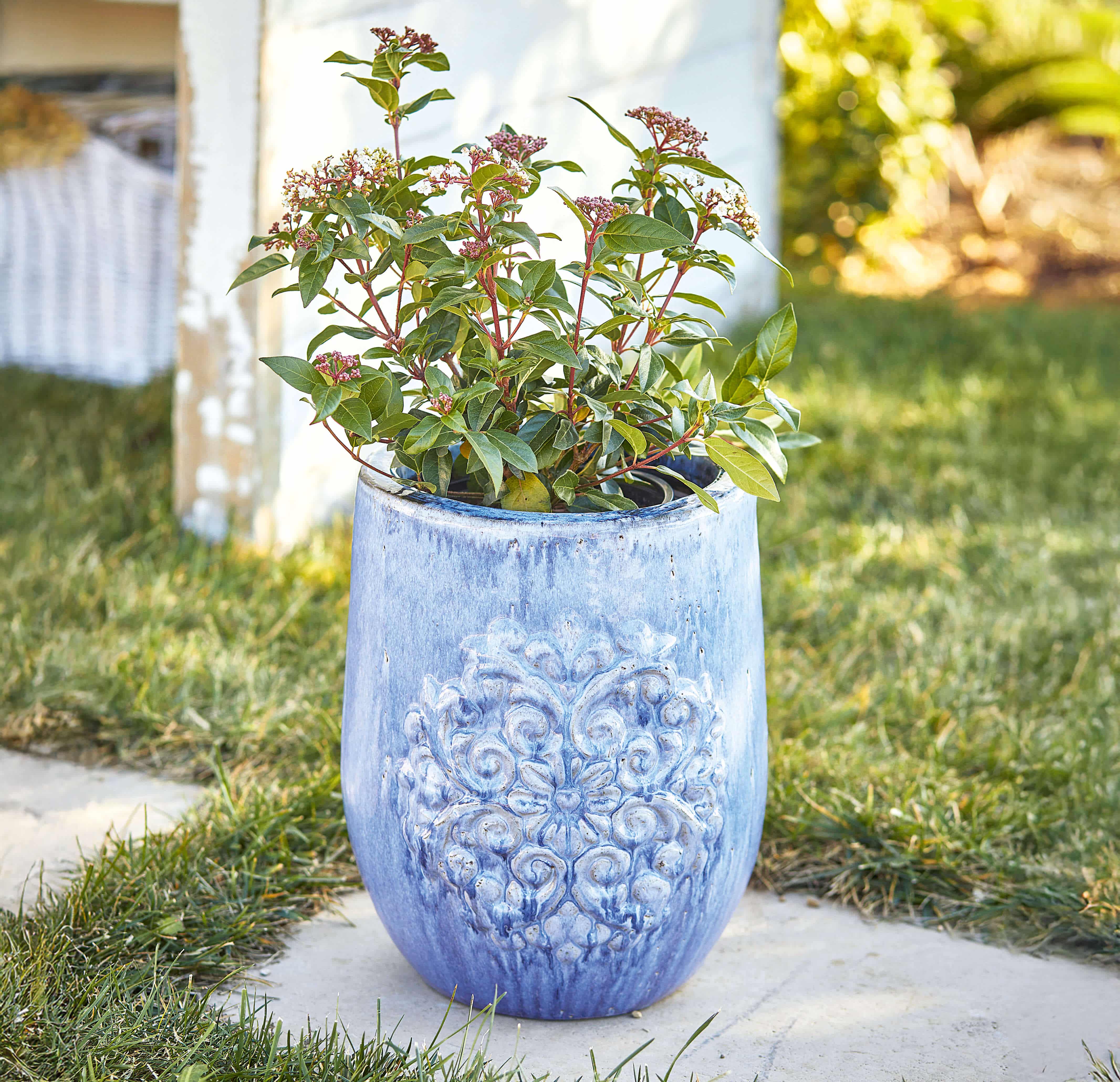 Vaso in ceramica blu con rilievo decorativo, perfetto per giardino o terrazza, resistente ed elegante