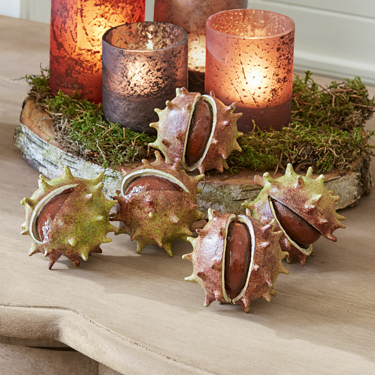 Set di 5 castagne decorative Léo