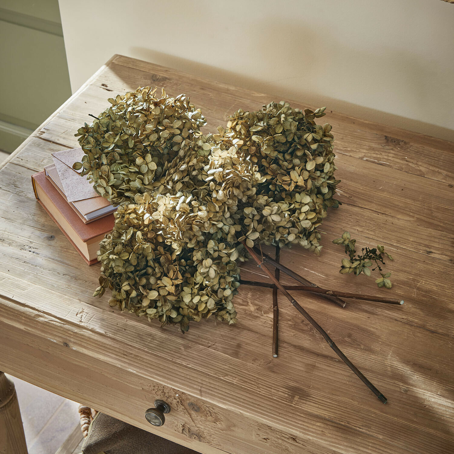 Fiori secchi di ortensia beige su tavolo in legno con libri e busta
