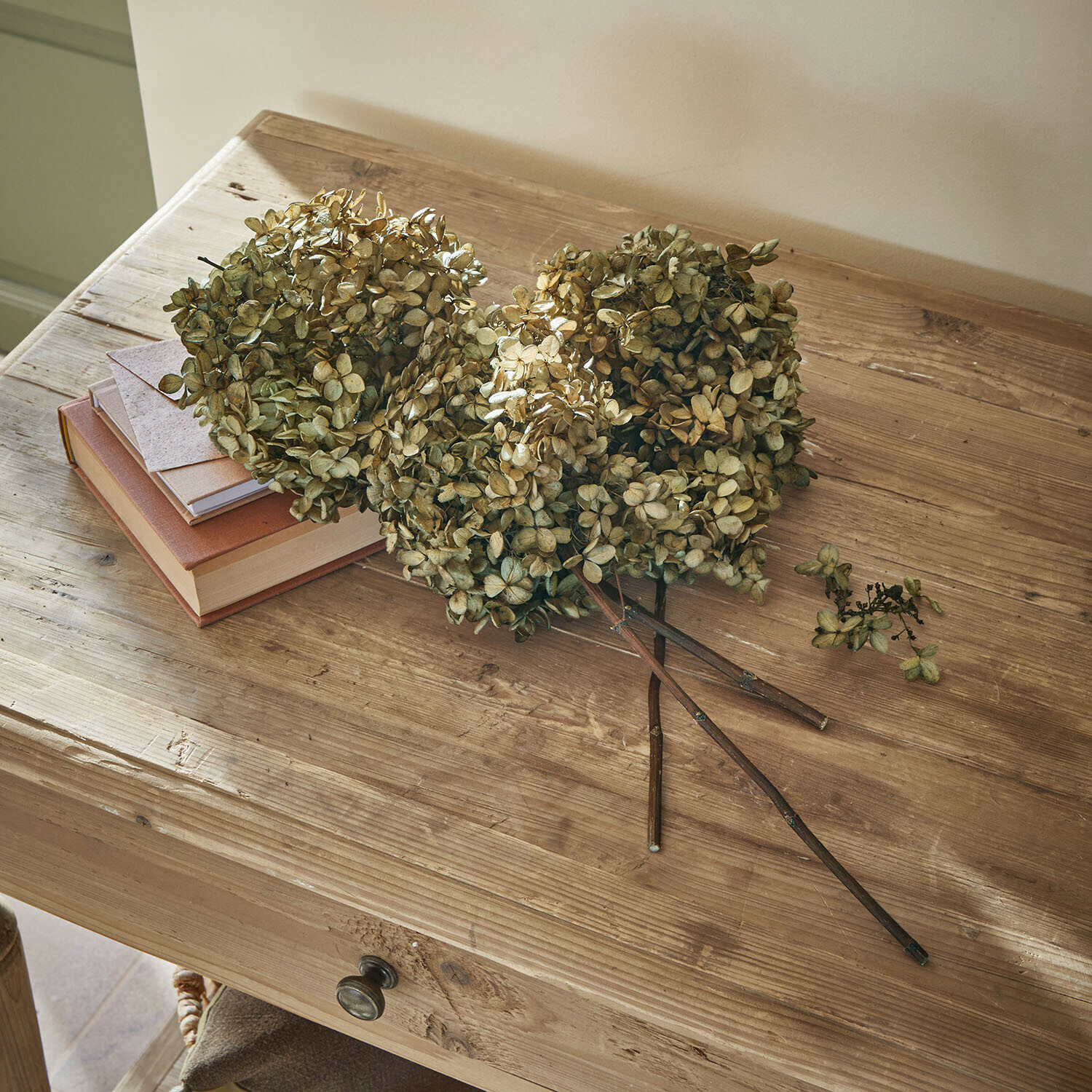 Trockenblume 3er Set Brissonne Fiori secchi di ortensia beige su tavolo in legno con libri e busta