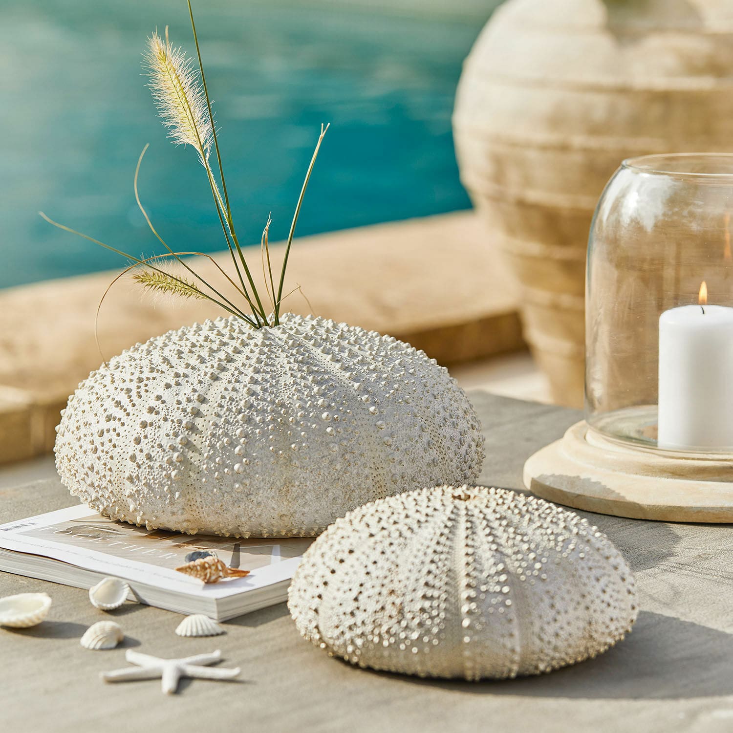 Coppia di ricci di mare decorativi Kimbar Ricci di mare bianchi decorativi su tavolo con erbe naturali e candela, stile marino