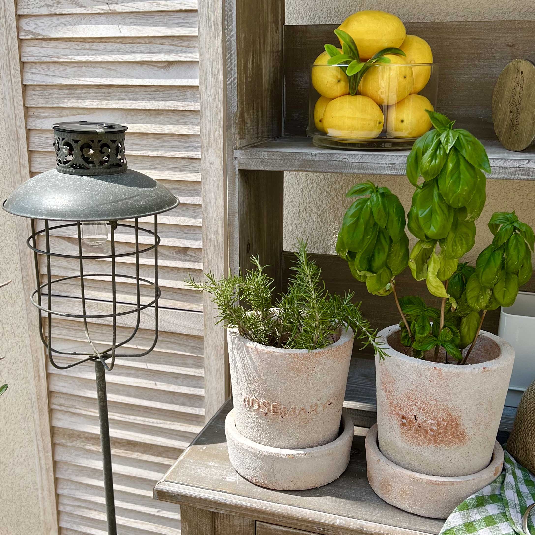 Vasi in terracotta con rosmarino e basilico su tavolo in legno accanto a lampada da giardino