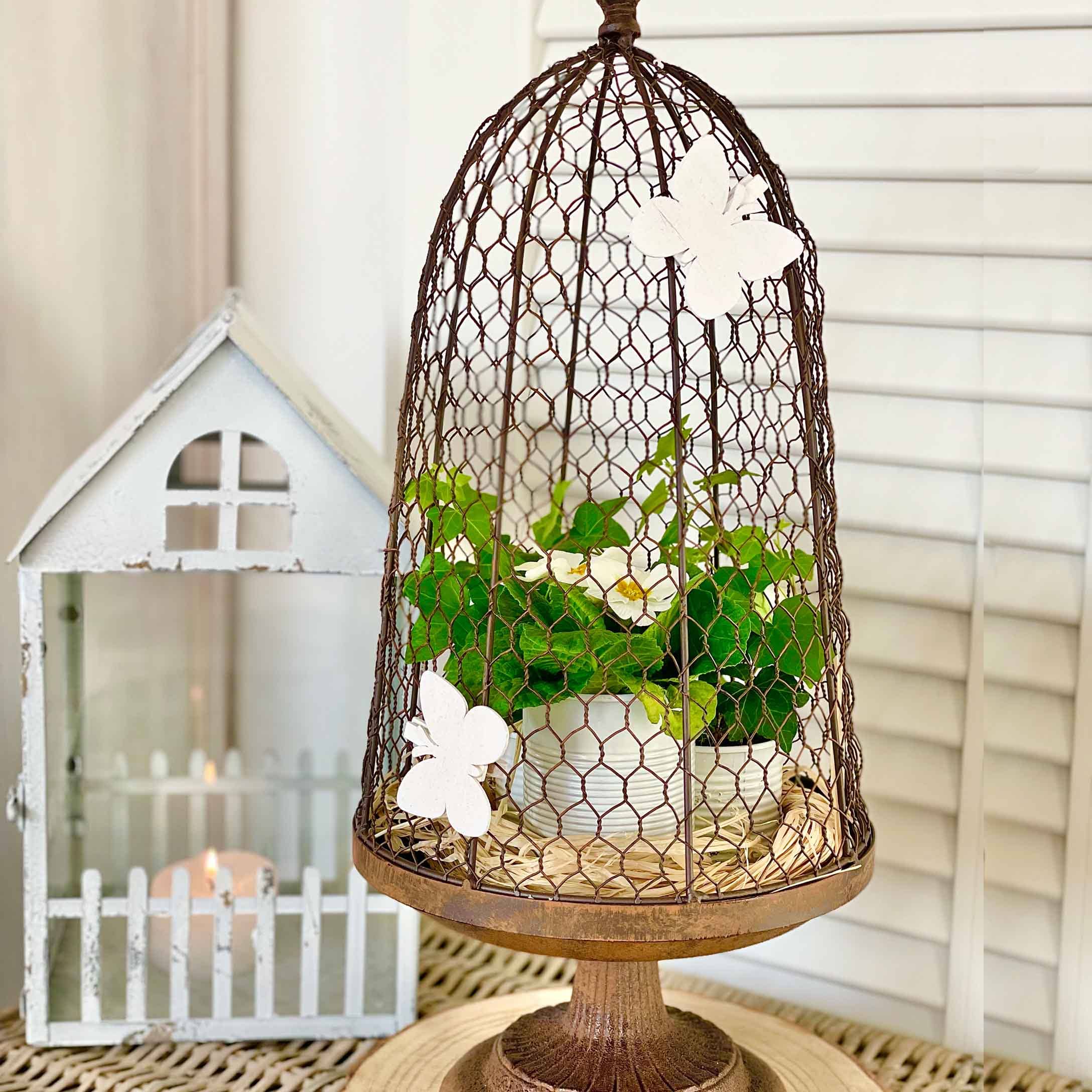 Campana decorativa in metallo rustico con farfalle bianche e pianta verde in vaso