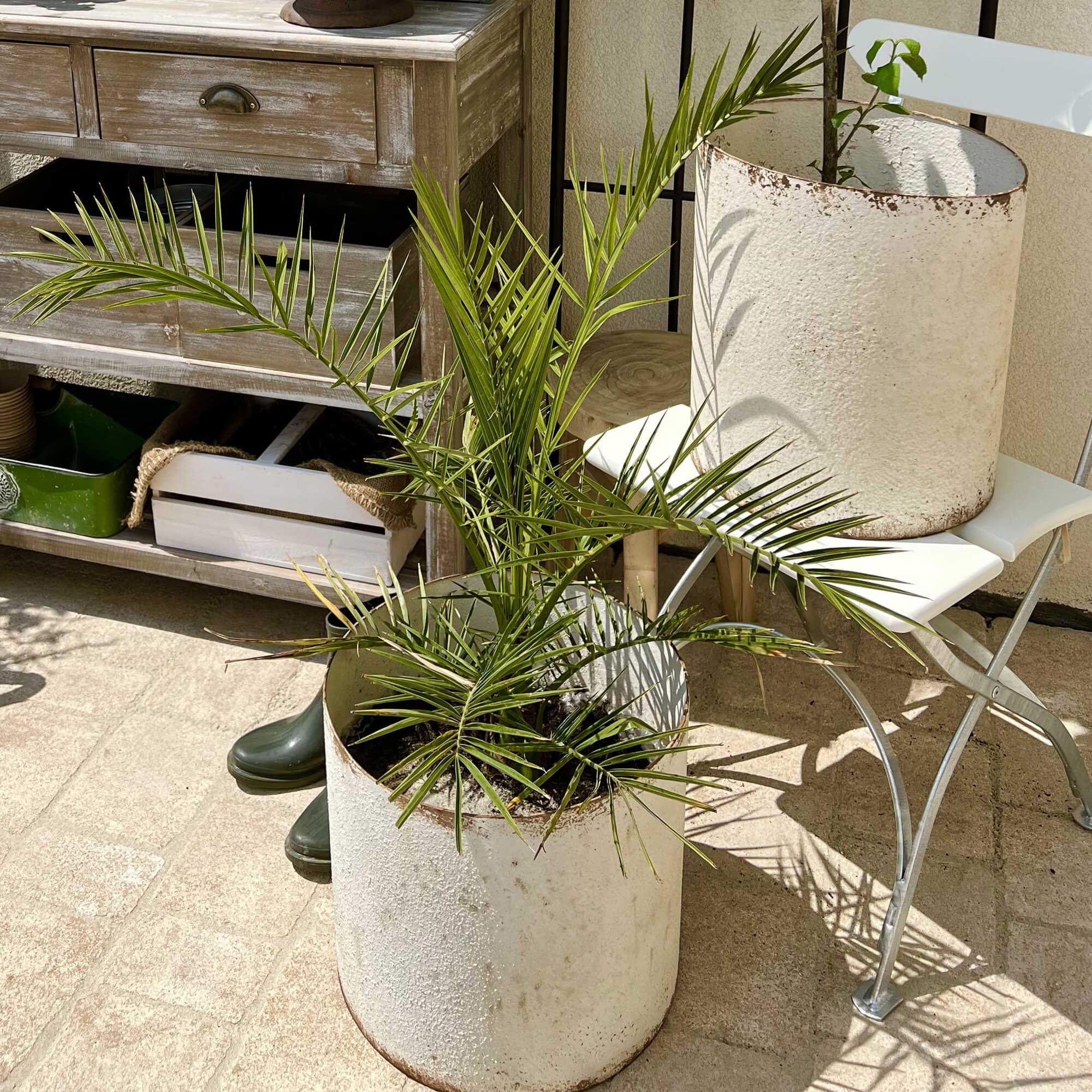 Vaso in metallo bianco con pianta verde su terrazza con mobili da giardino