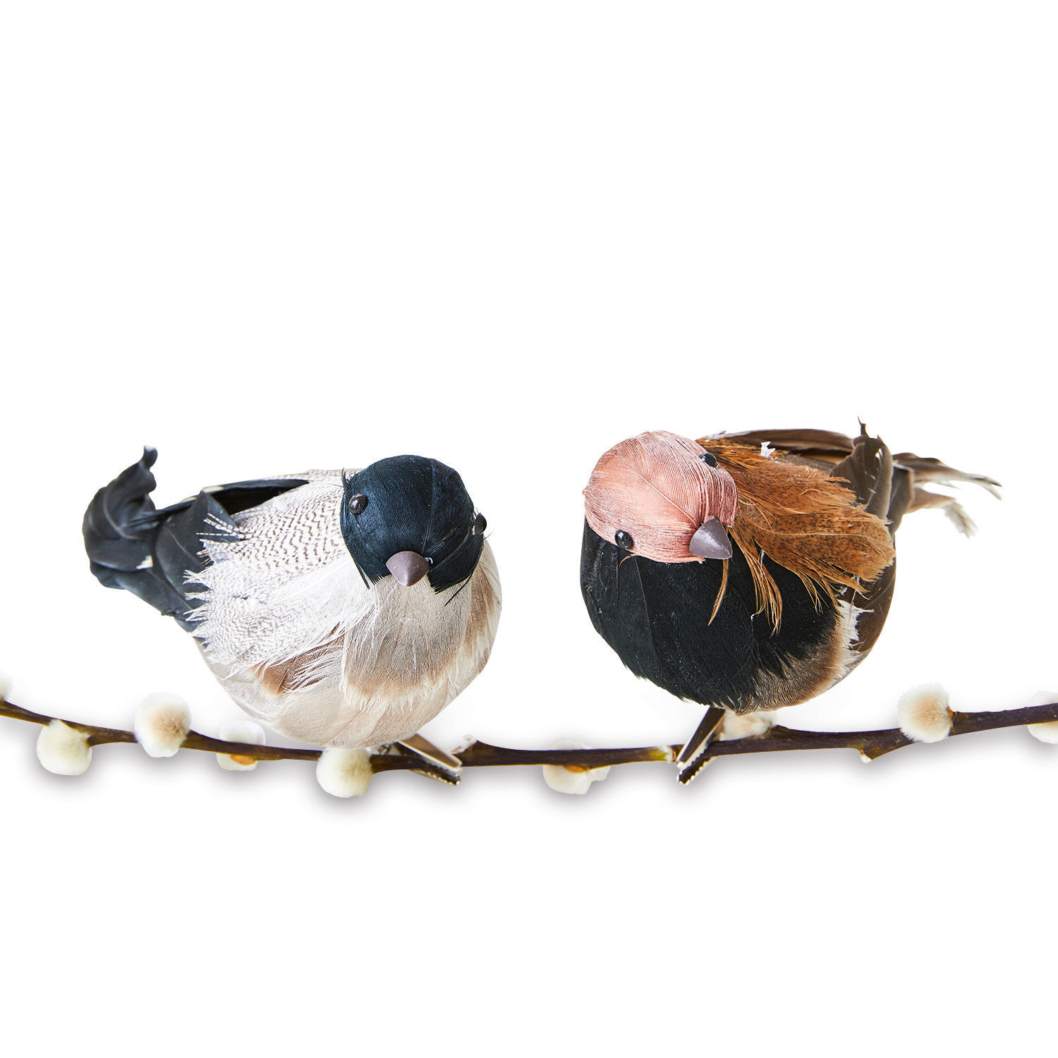 Coppia di uccellini Harera