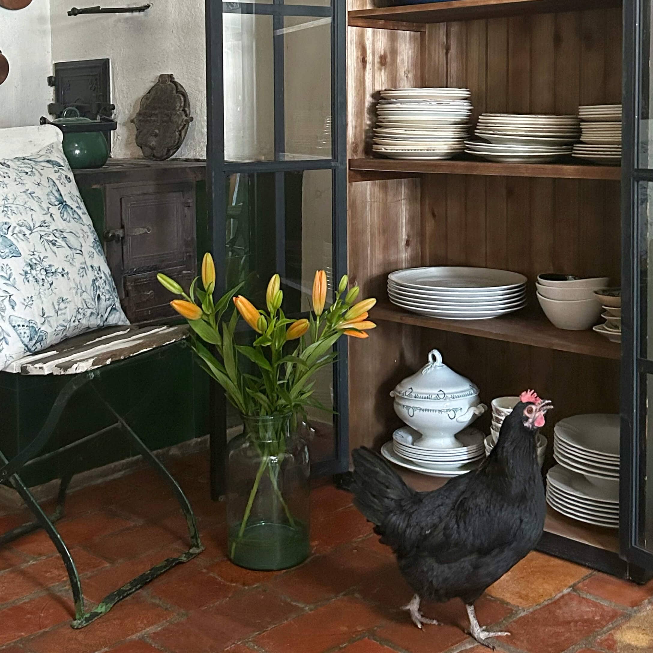 Gallina nera davanti a una credenza in legno con porcellane bianche e gigli arancioni in vaso di vetro