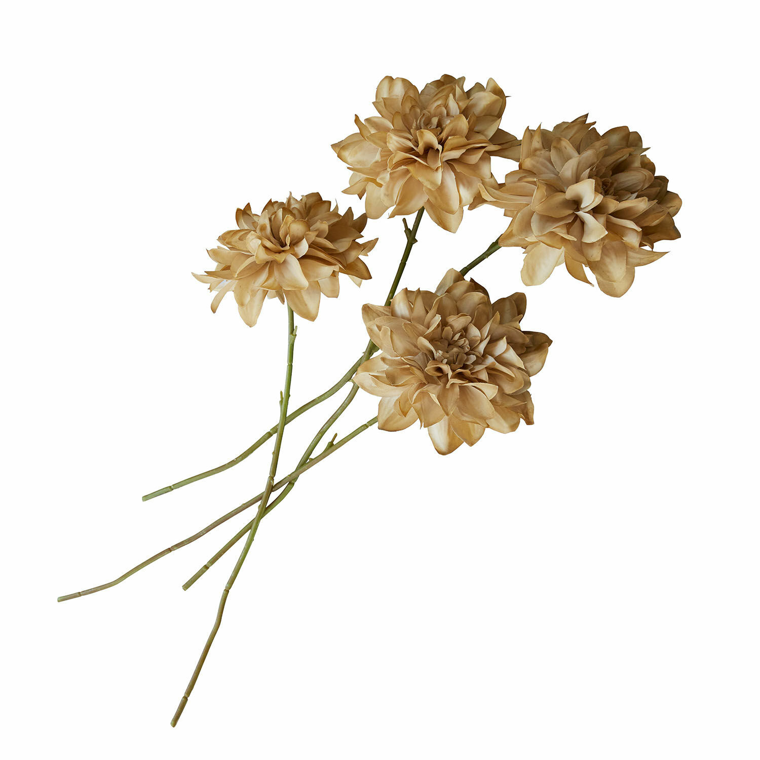 Set di 4 fiori decorativi Cappellina