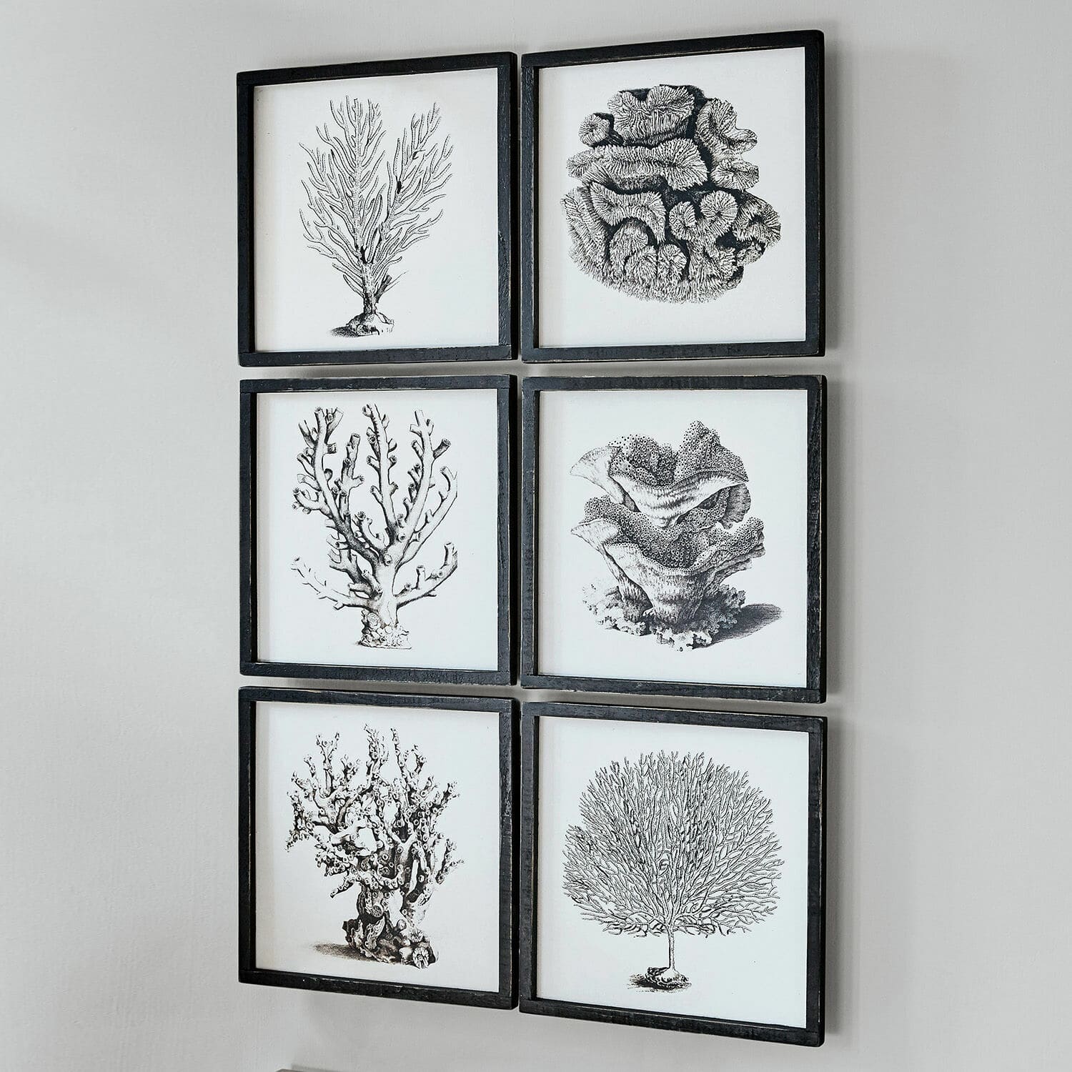 Set di 6 quadri Darney