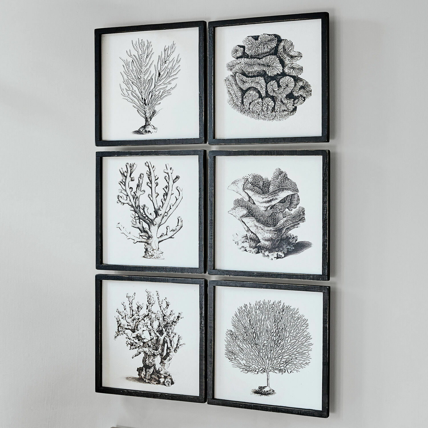 Set di 6 quadri Darney