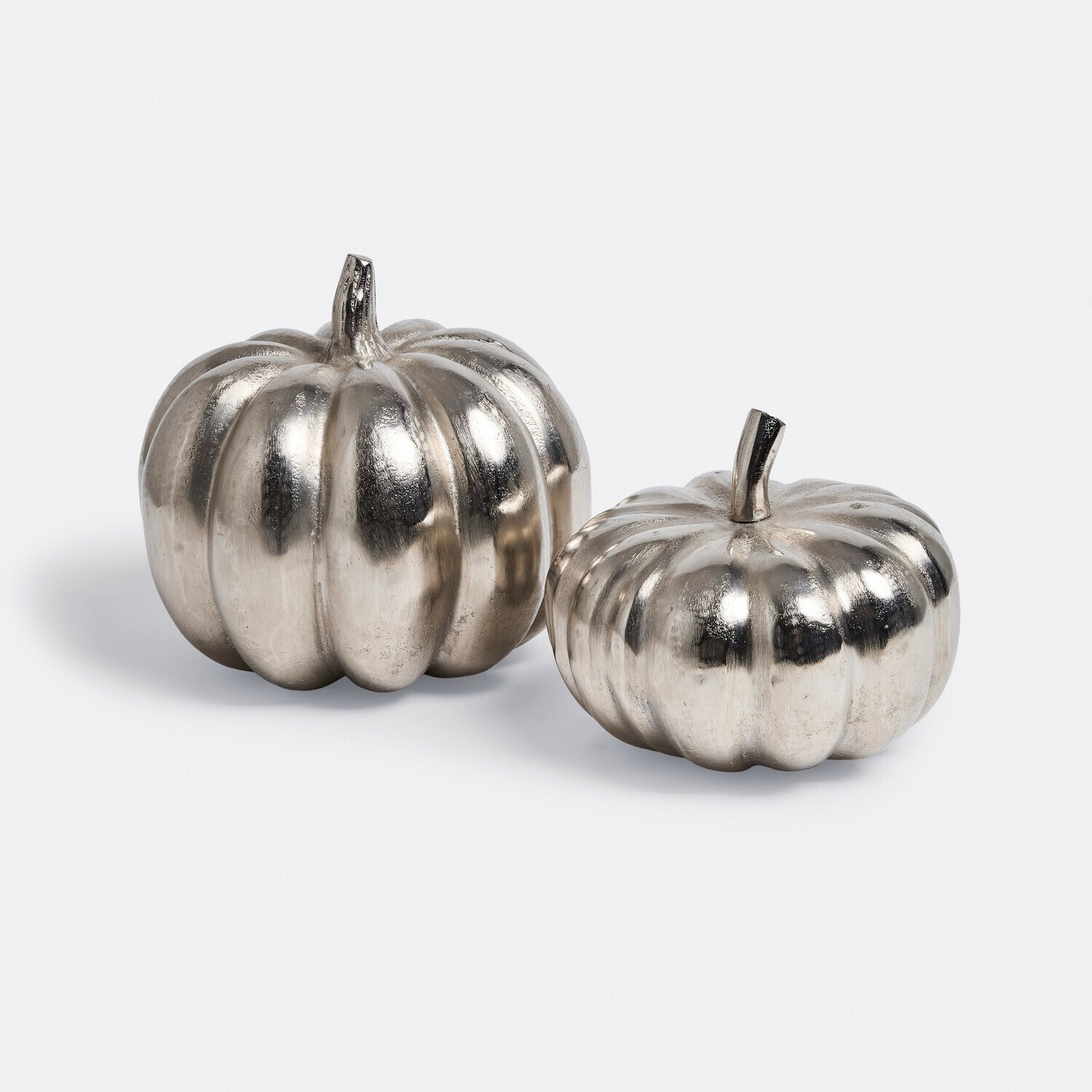 Coppia di zucche decorative Alérisse