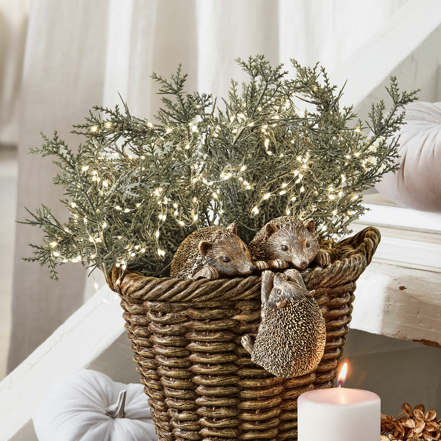 Set di 3 piante decorative Emmet