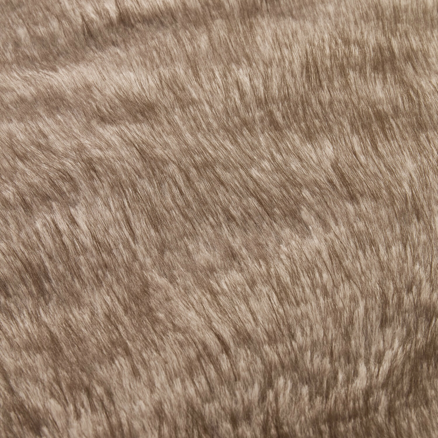 Coperta Talverno