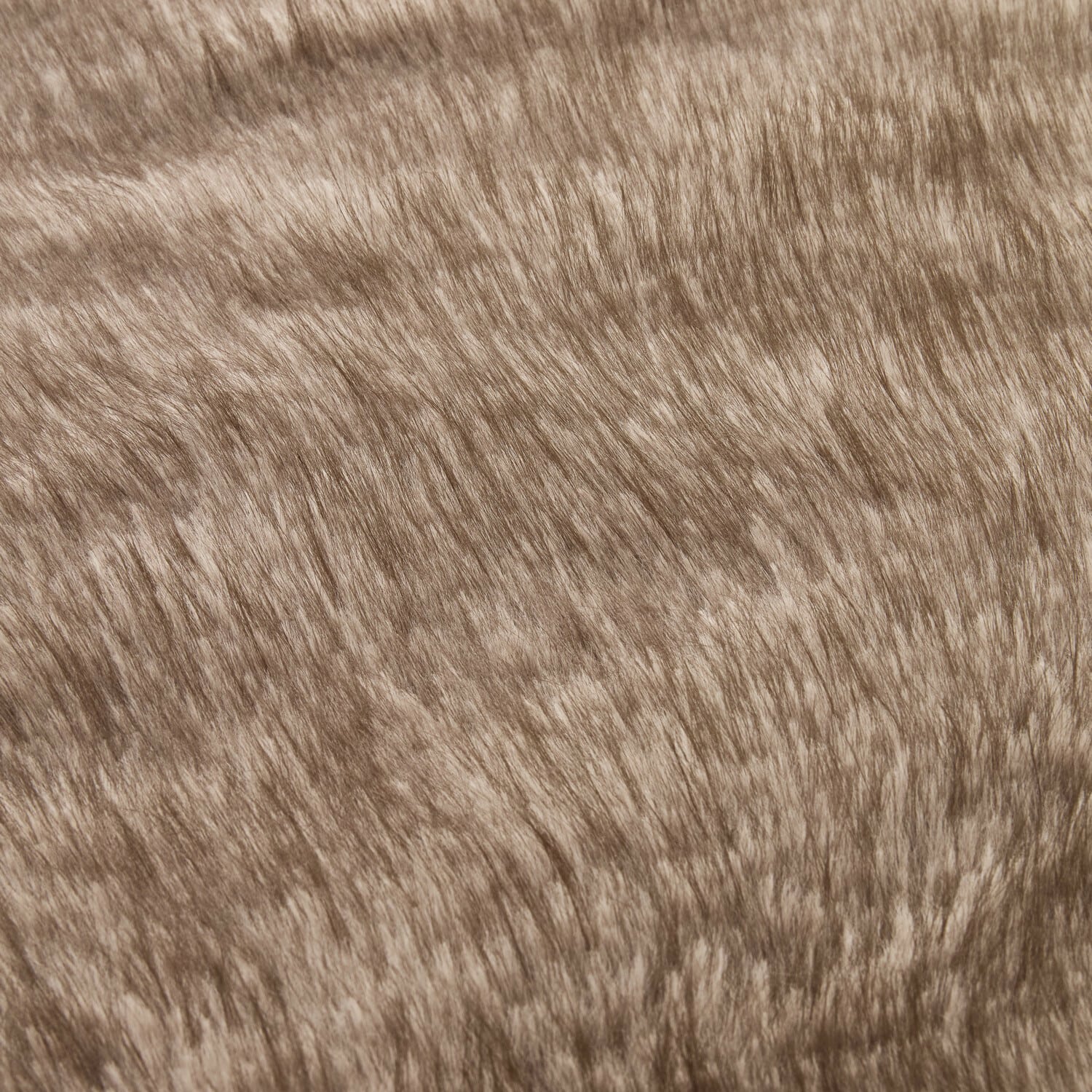 Coperta Talverno
