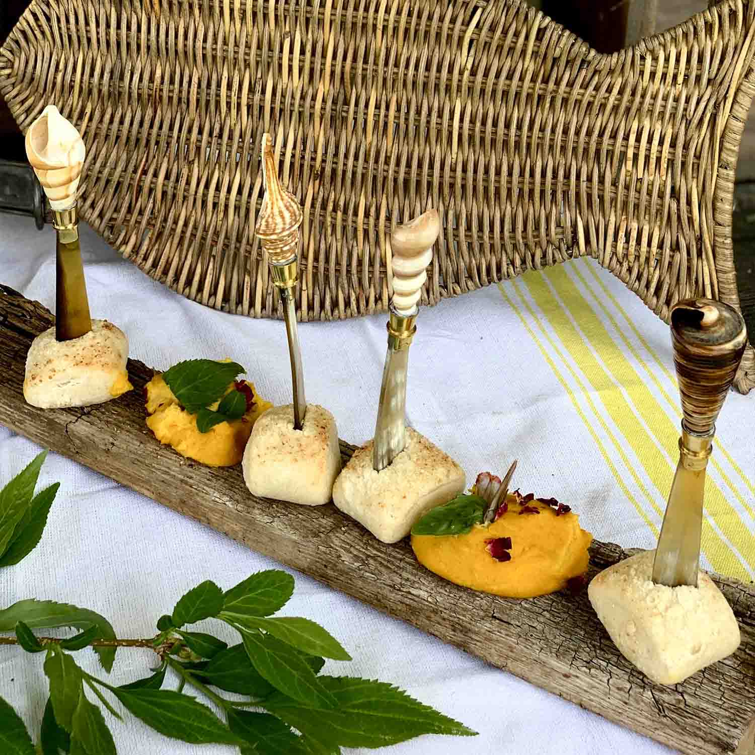 Set di stuzzicadenti decorativi con conchiglie su base in legno, perfetti per antipasti eleganti