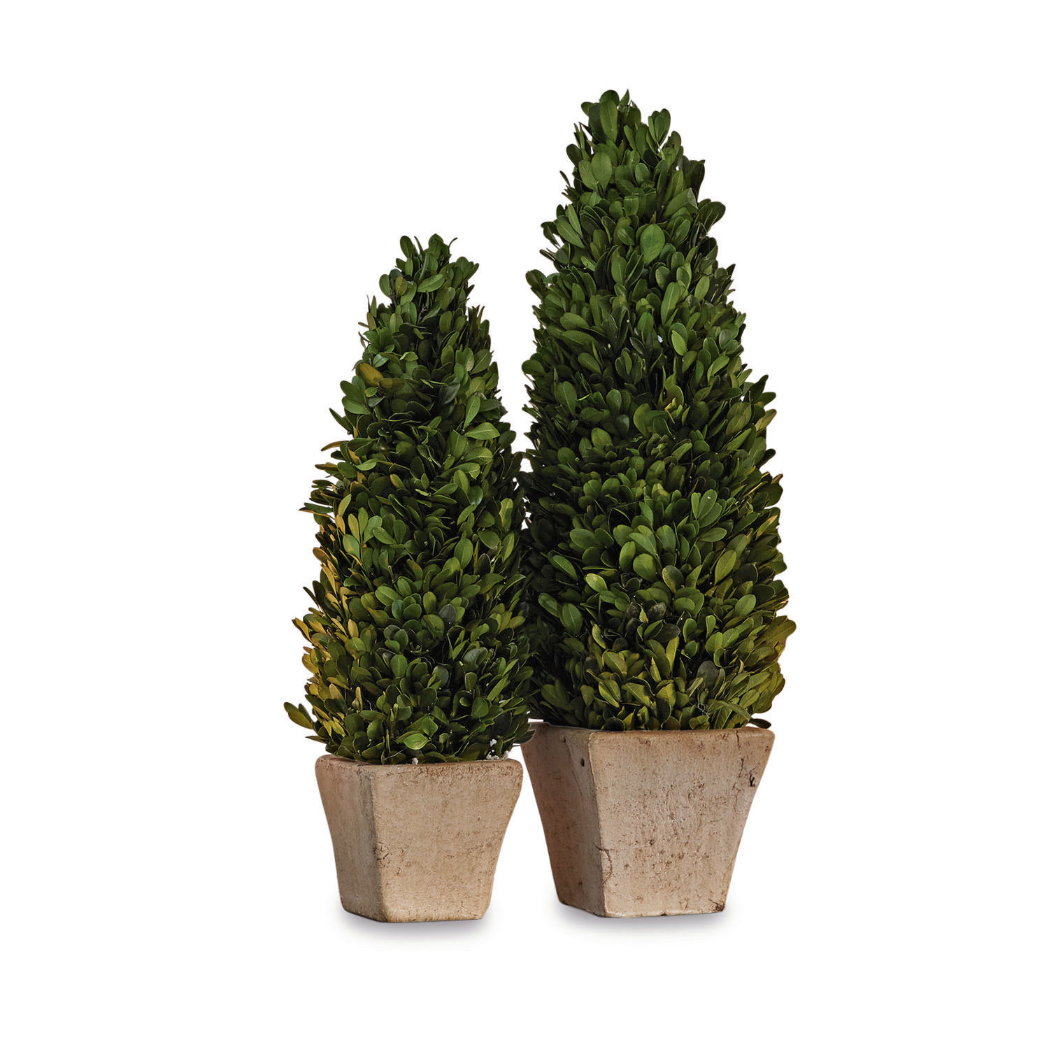 Coppia di alberelli decorativi Pierry