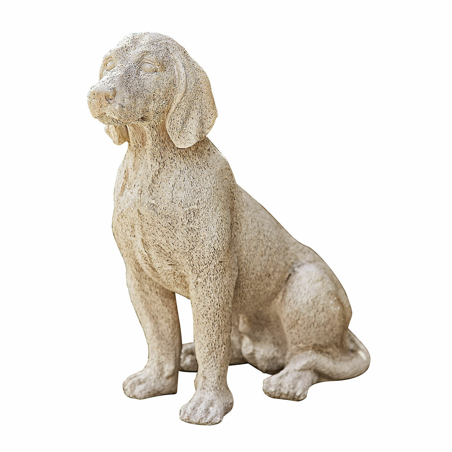 Cane decorativo Albinor Scultura di cane in pietra beige, decorazione da giardino in materiale naturale