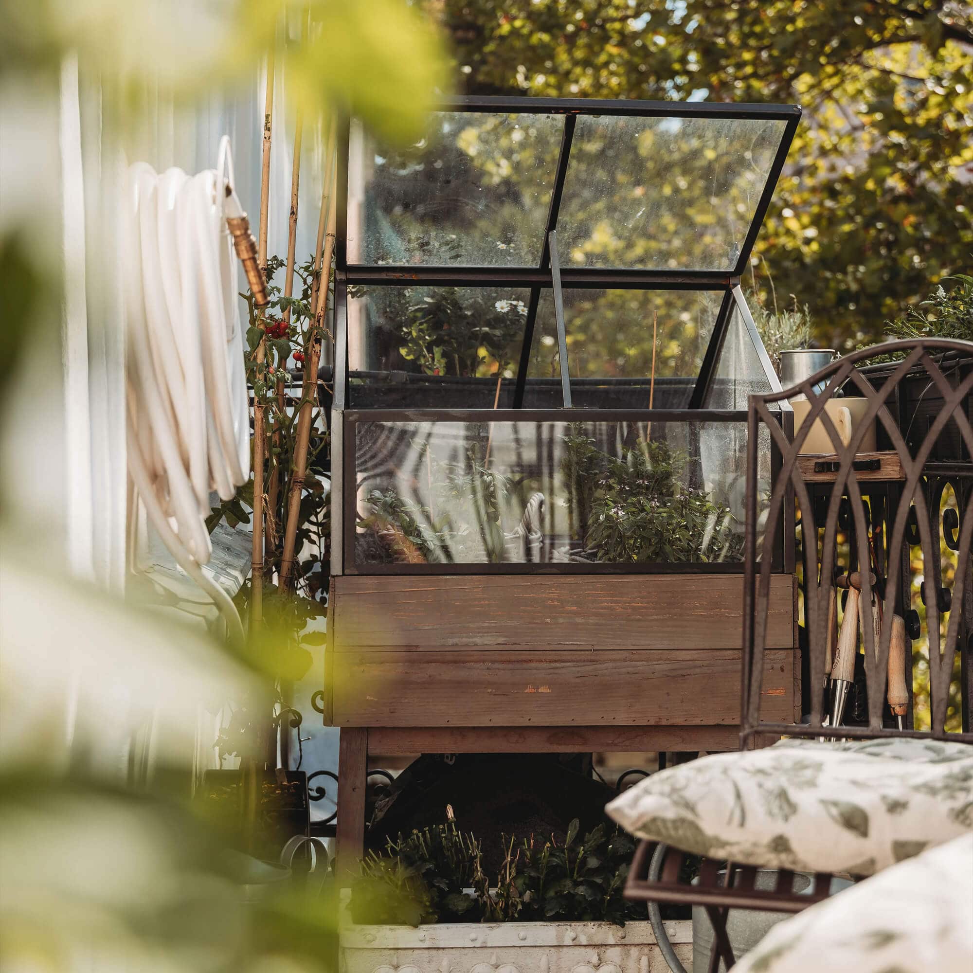 Piccola serra da giardino in legno con piante e attrezzi da giardino su terrazza soleggiata