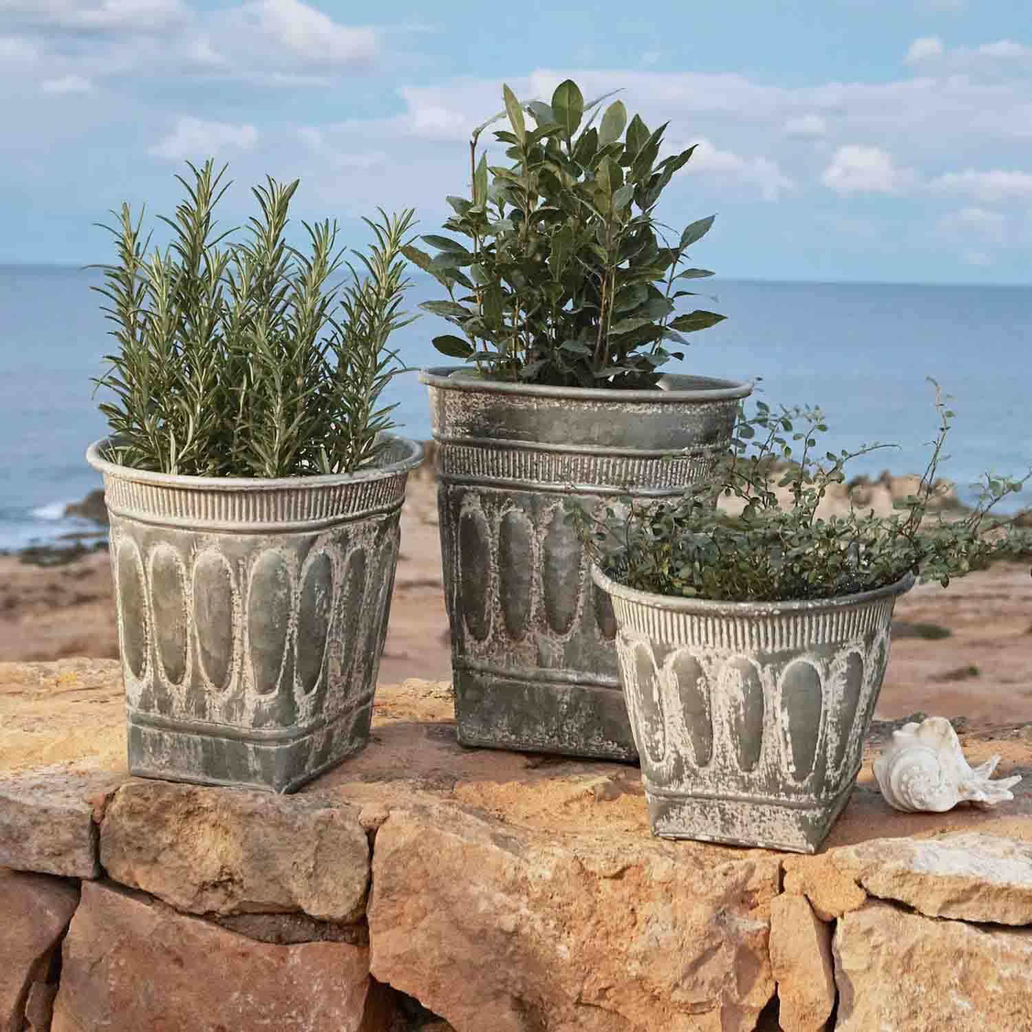 Tre vasi decorativi in metallo grigio invecchiato con piante verdi davanti al mare, giardino