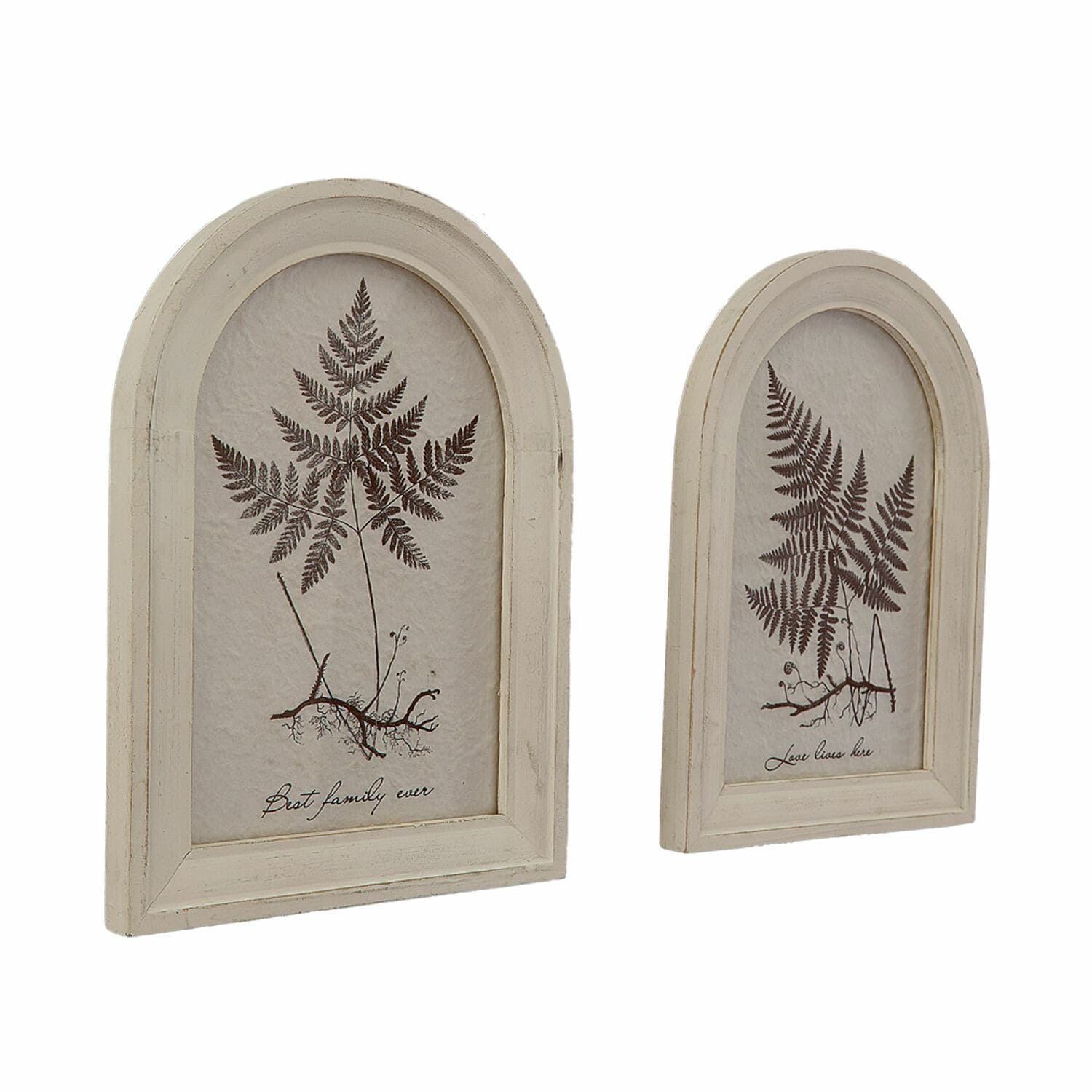 Coppia di quadretti Movirex Due cornici decorative in legno color ecru con disegno di felce e scritte, decorazione da parete vintage