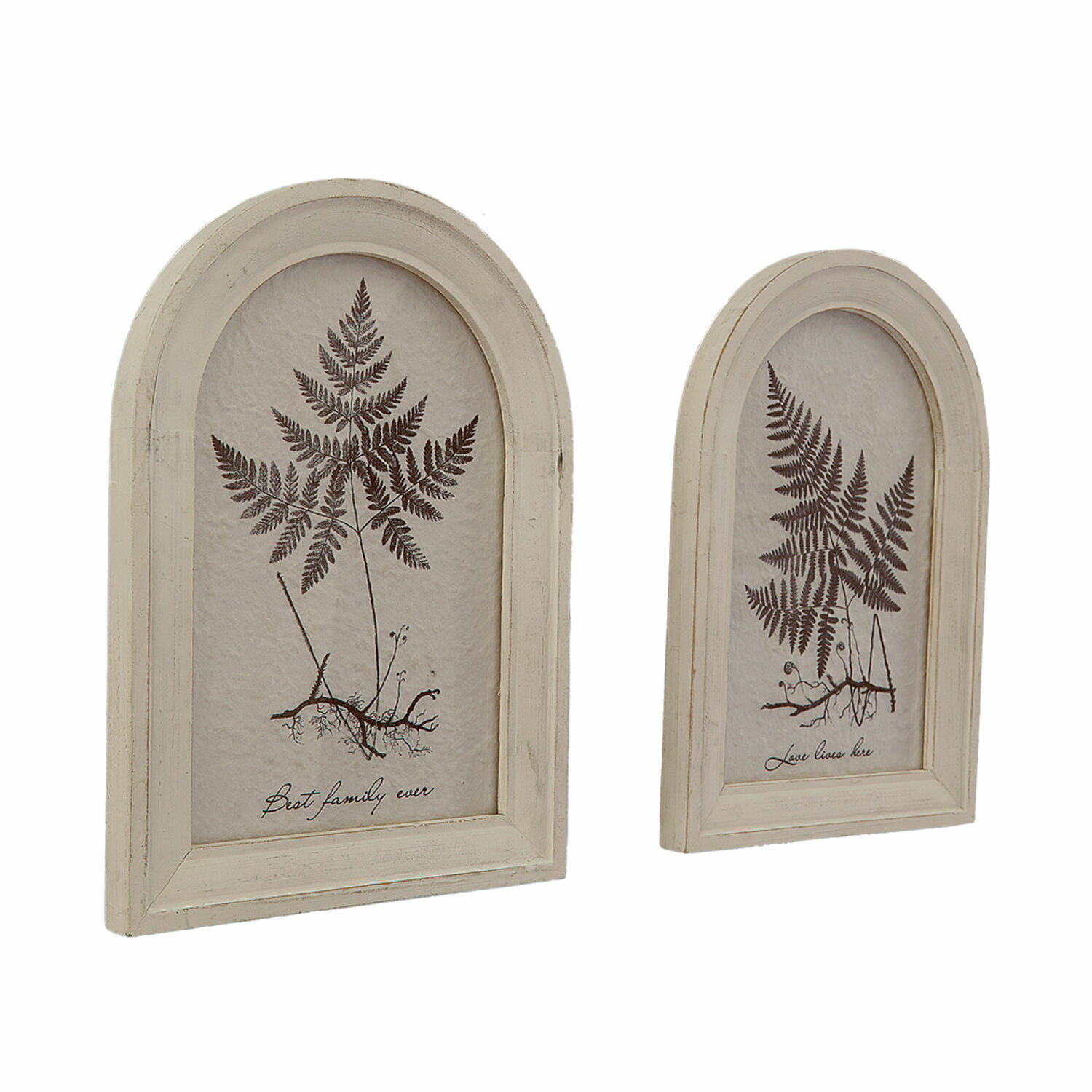 Coppia di quadretti Movirex Due cornici decorative in legno color ecru con disegno di felce e scritte, decorazione da parete vintage
