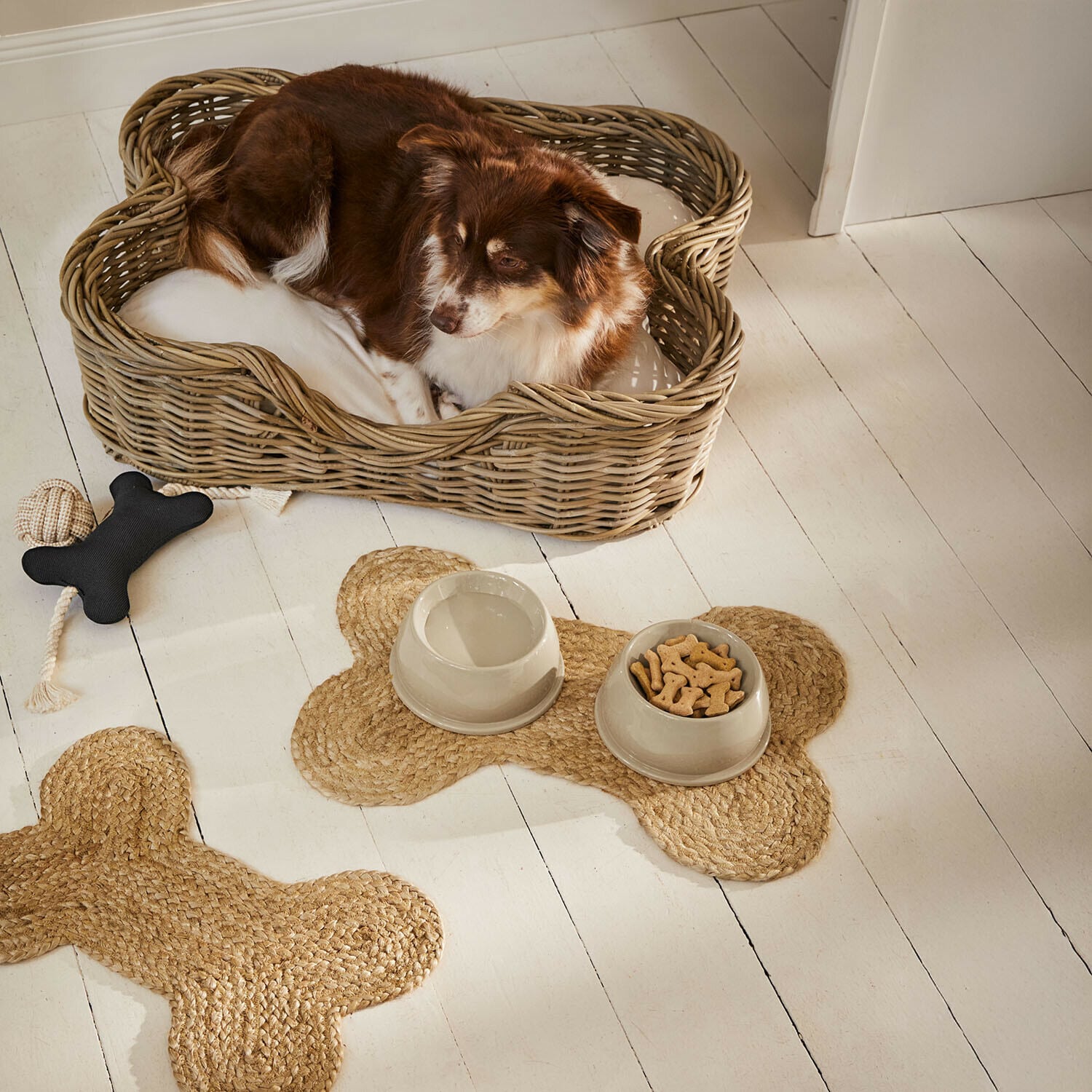 Coppia di ciotole per animali Kireva