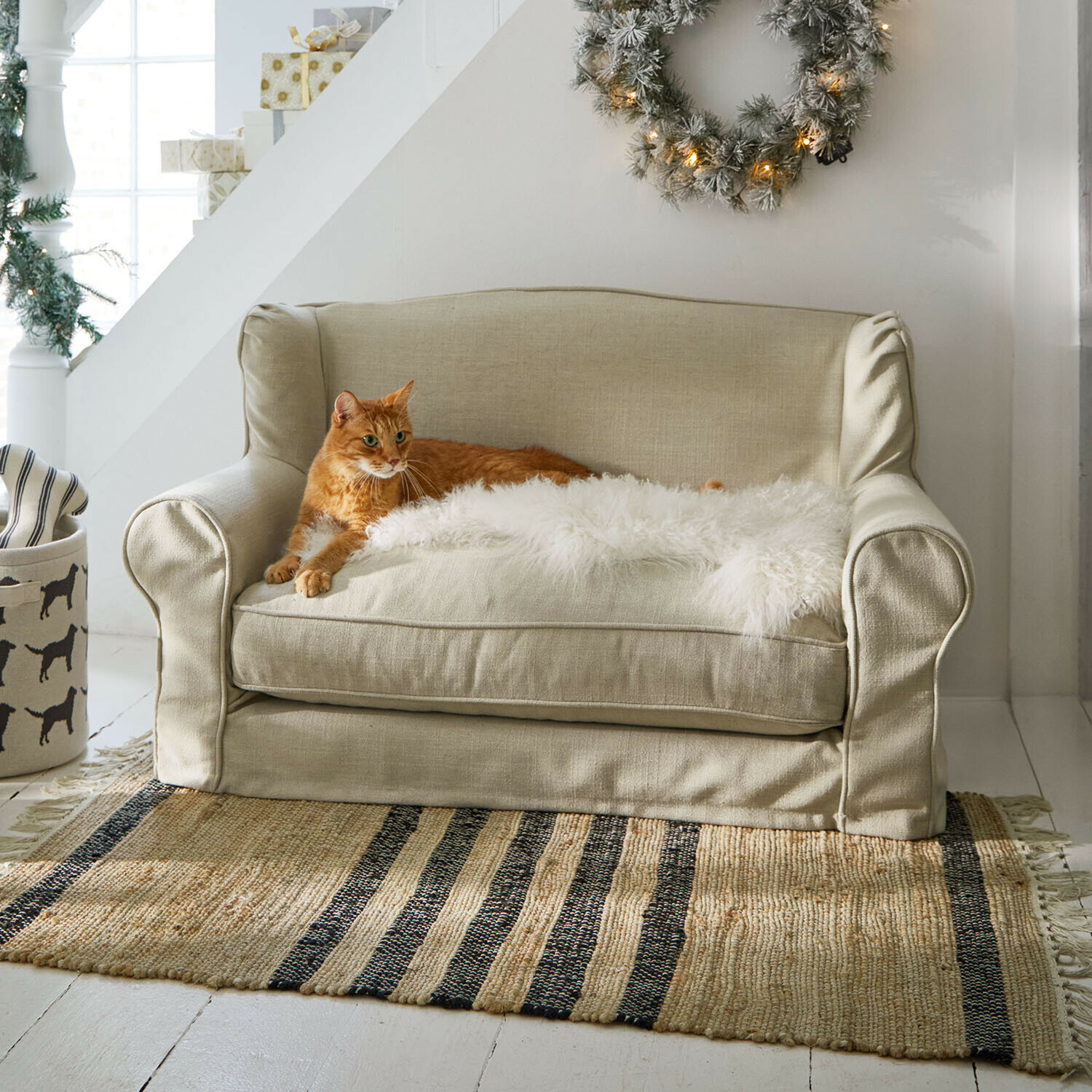 Divano per animali Panora Divano due posti beige in tessuto con coperta bianca di pelliccia sintetica e gatto rosso su tappeto a righe