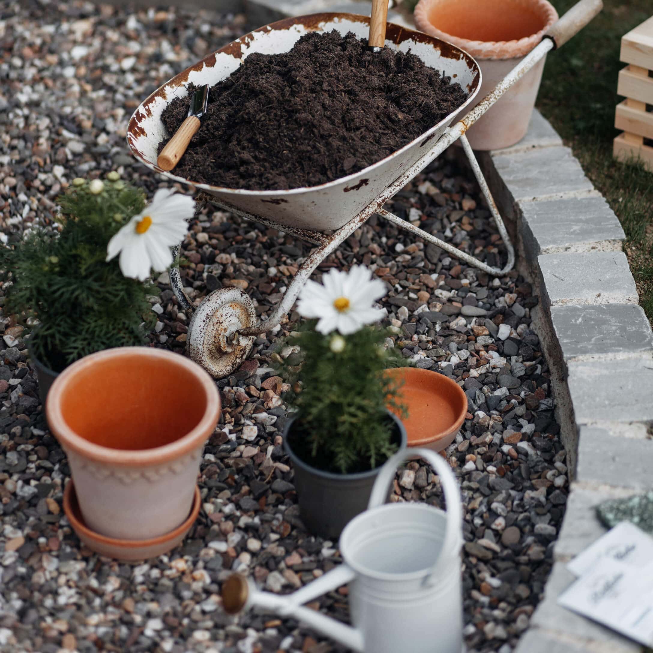 Vecchia carriola bianca con terra su ghiaia accanto a vasi e annaffiatoio da giardino