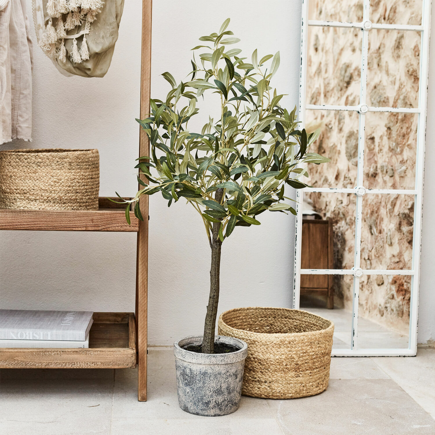 Pianta in vaso decorativa Mariuccia