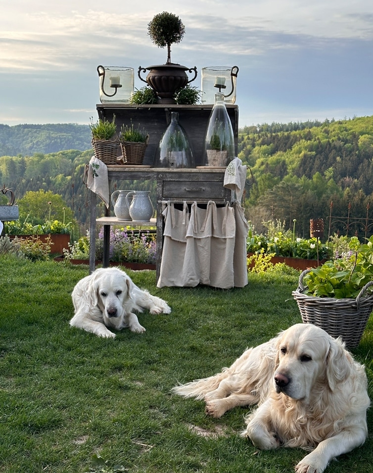 Giardino estivo con tavolo in legno decorato con piante e due cani bianchi sdraiati sull'erba