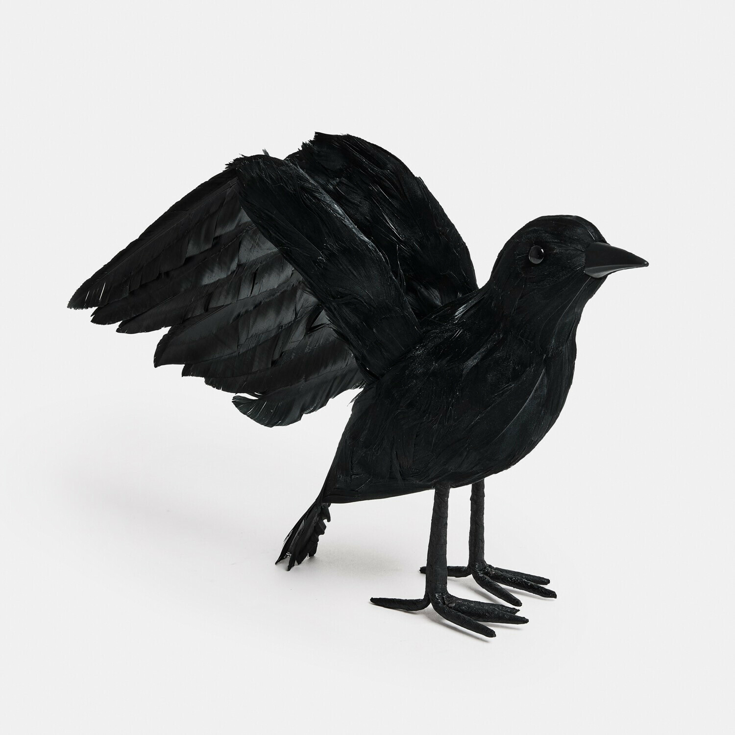 Uccello decorativo Faelron