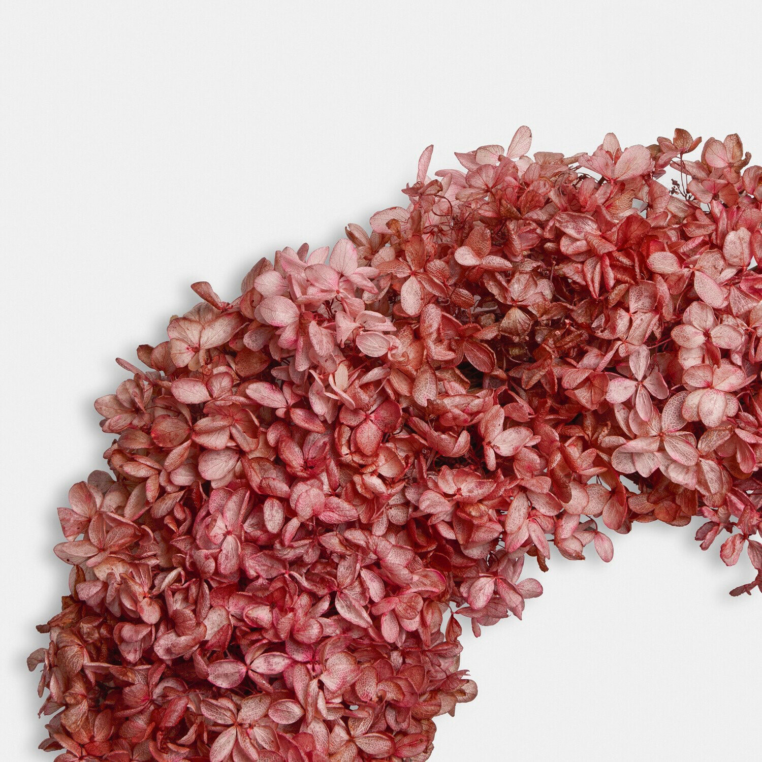Ghirlanda di fiori secchi Amélorie