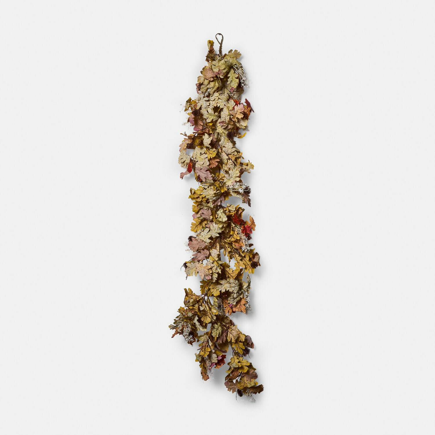 Festone Fleurimont